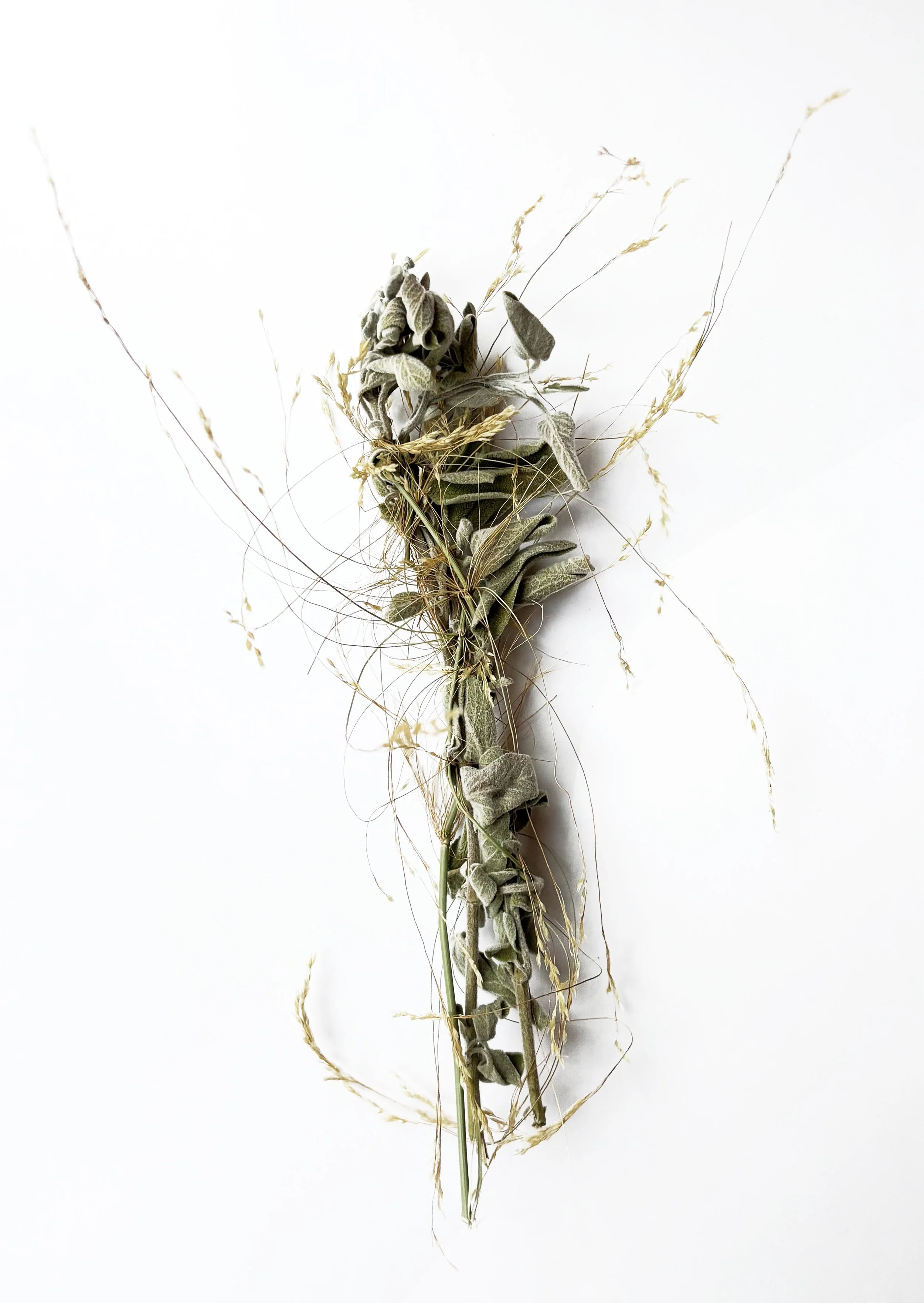 Semine-Greek-Wild-Sage-bundle.jpg