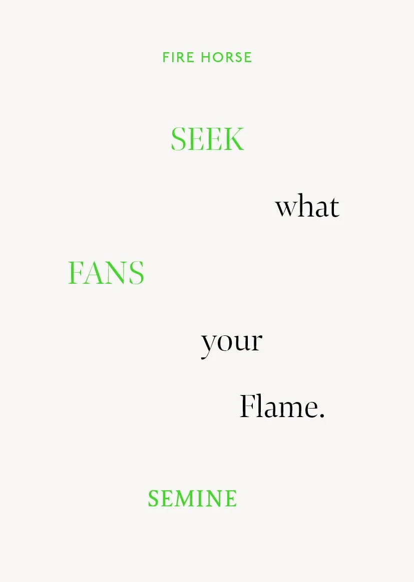 Year of The Fire Horse