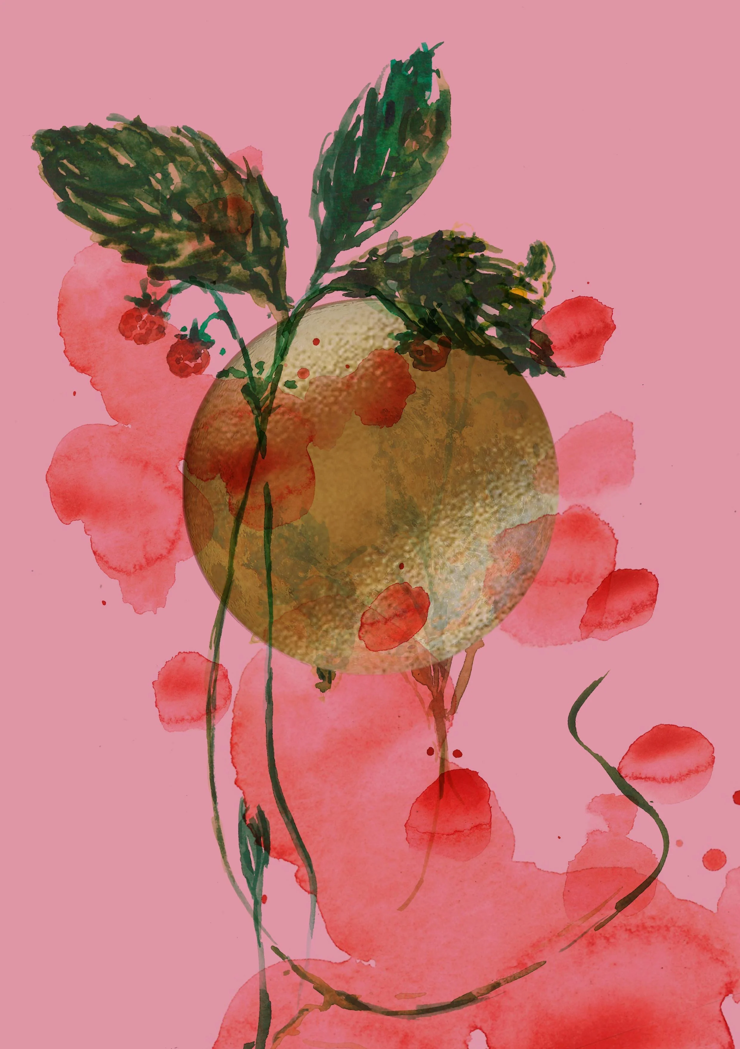 Strawberry Full Moon