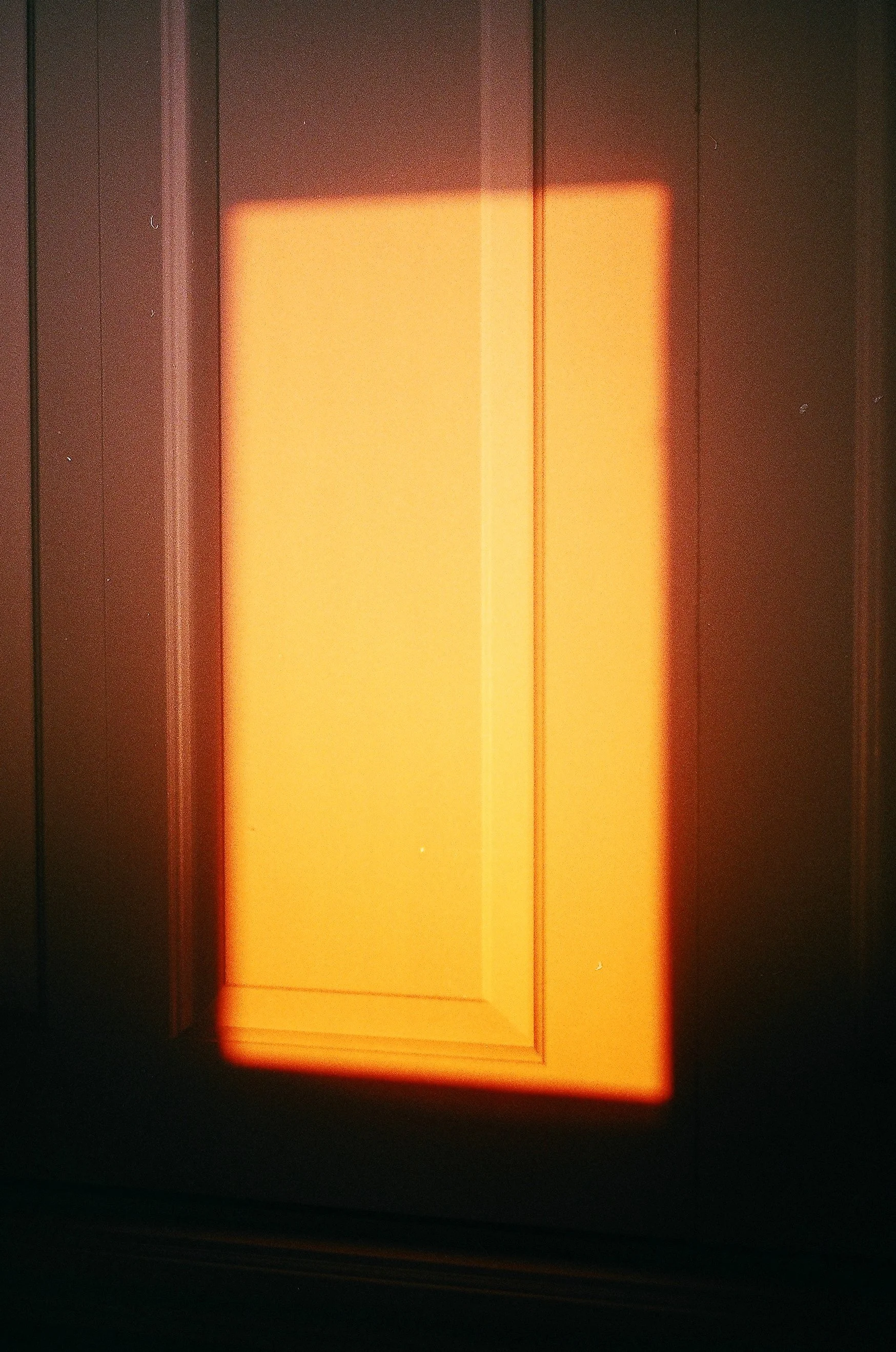 52610019.jpg