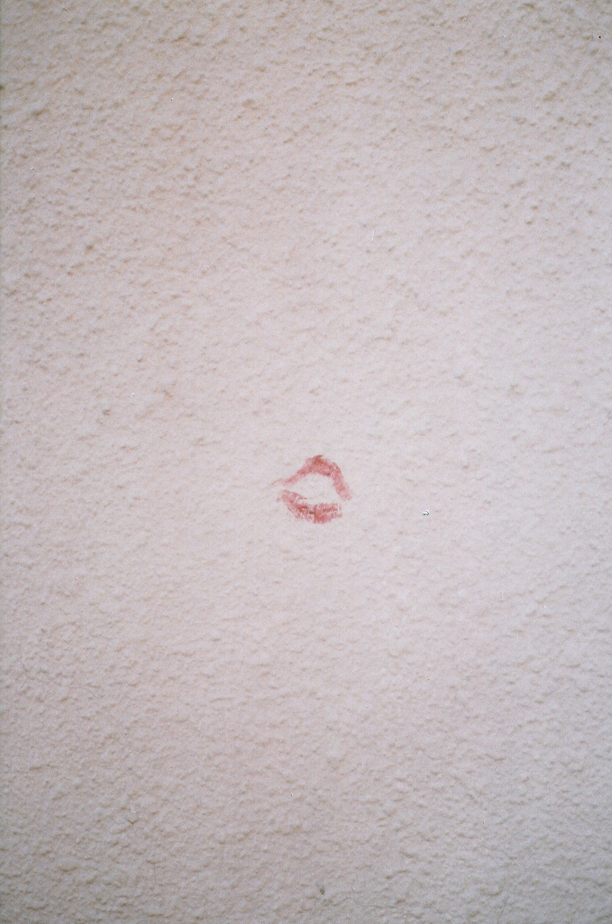 52650015.jpg