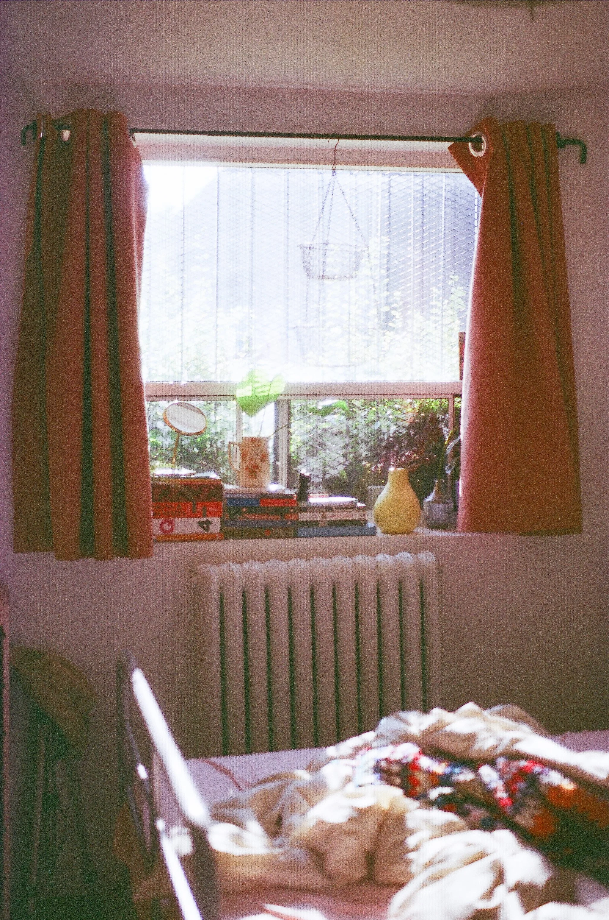 84480026.jpg