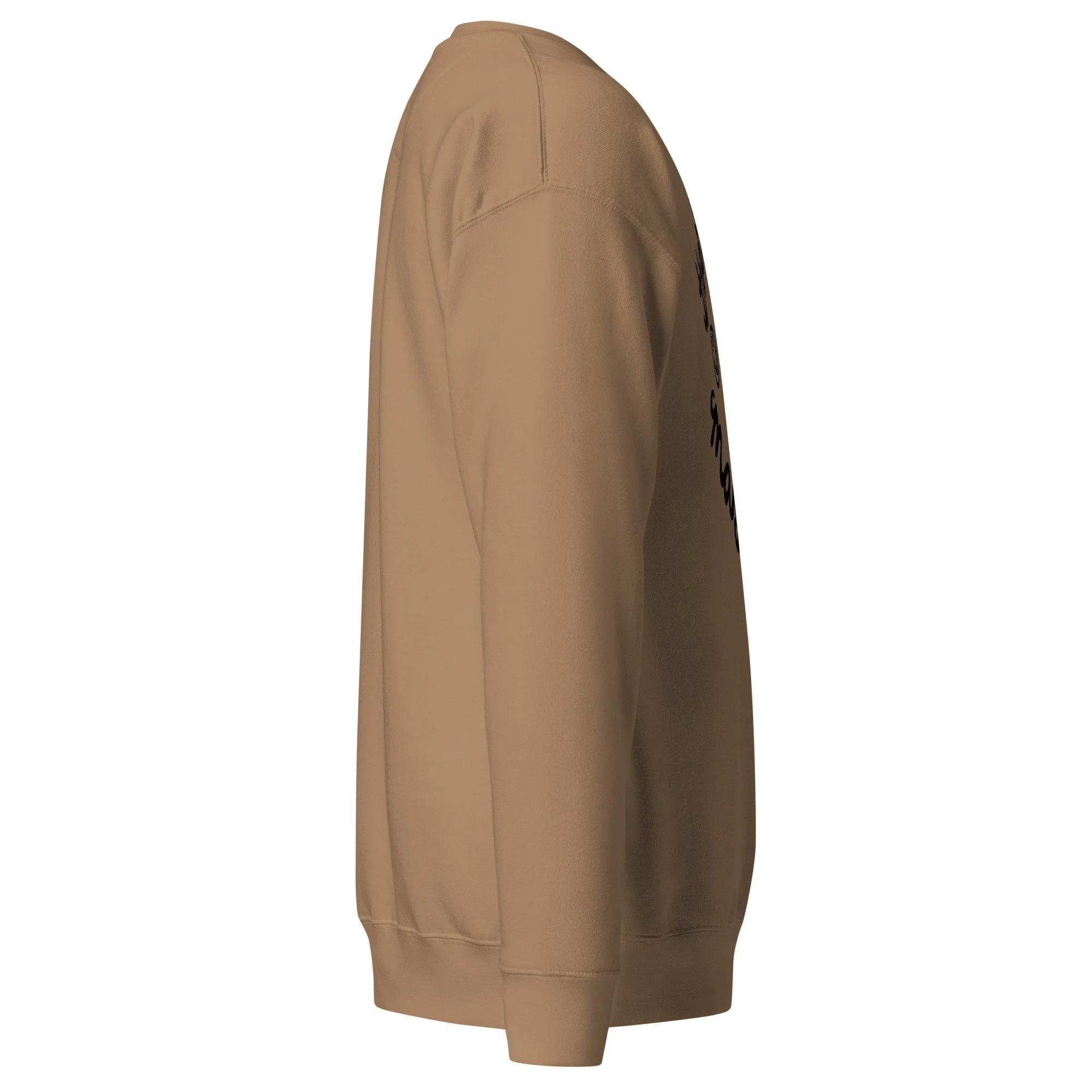 unisex-premium-sweatshirt-latte-right-6a4c0e8187265.jpg