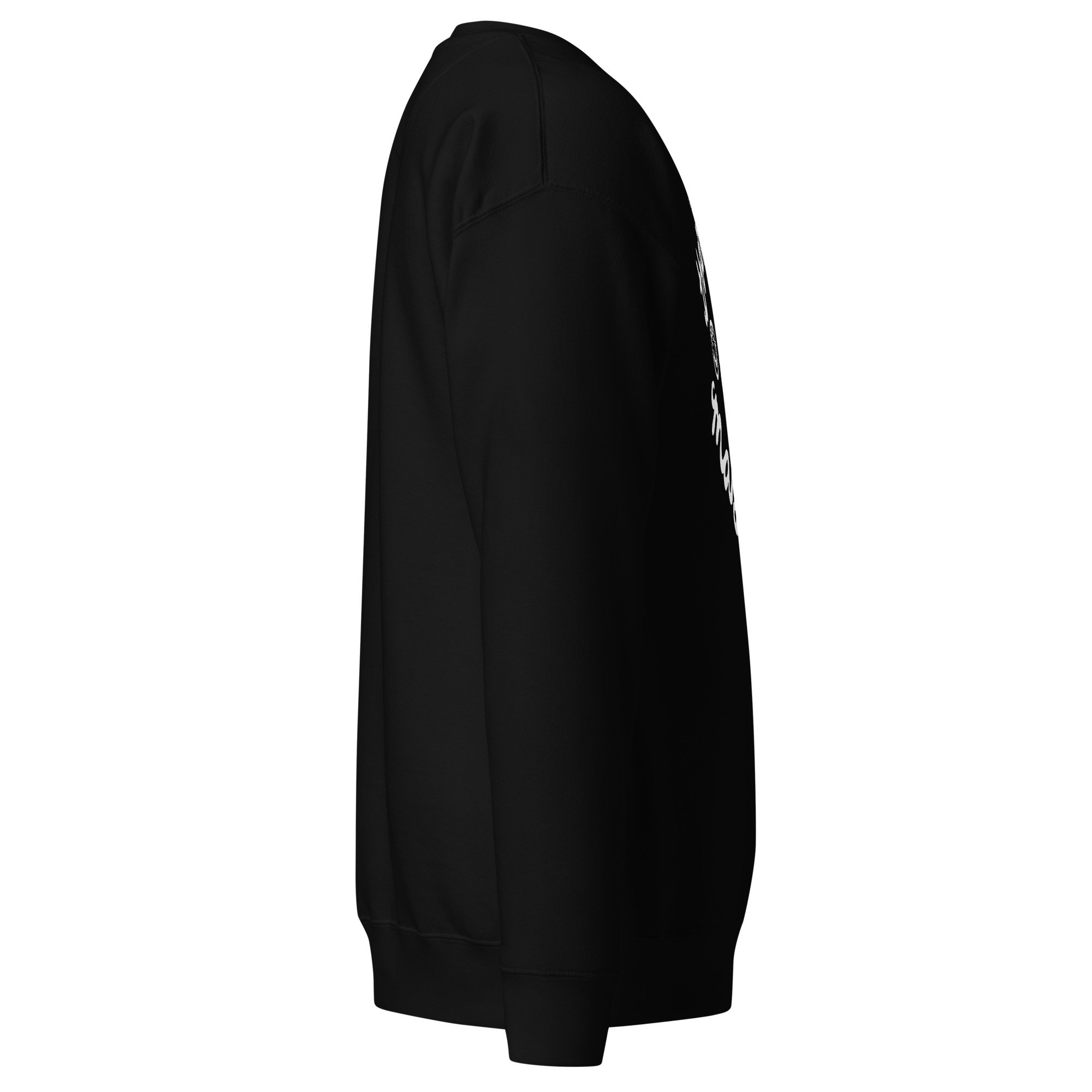 unisex-premium-sweatshirt-black-right-6a4c10305249d.jpg