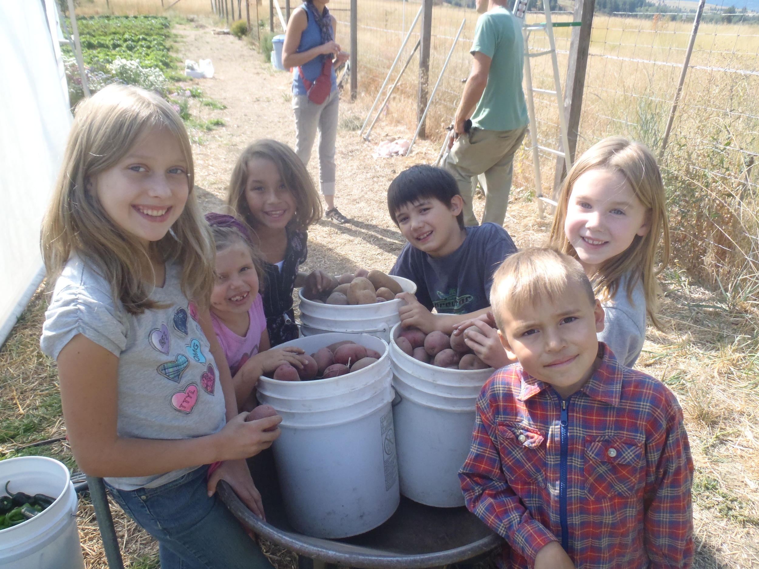 Riverwood kids with the day's potato harvest