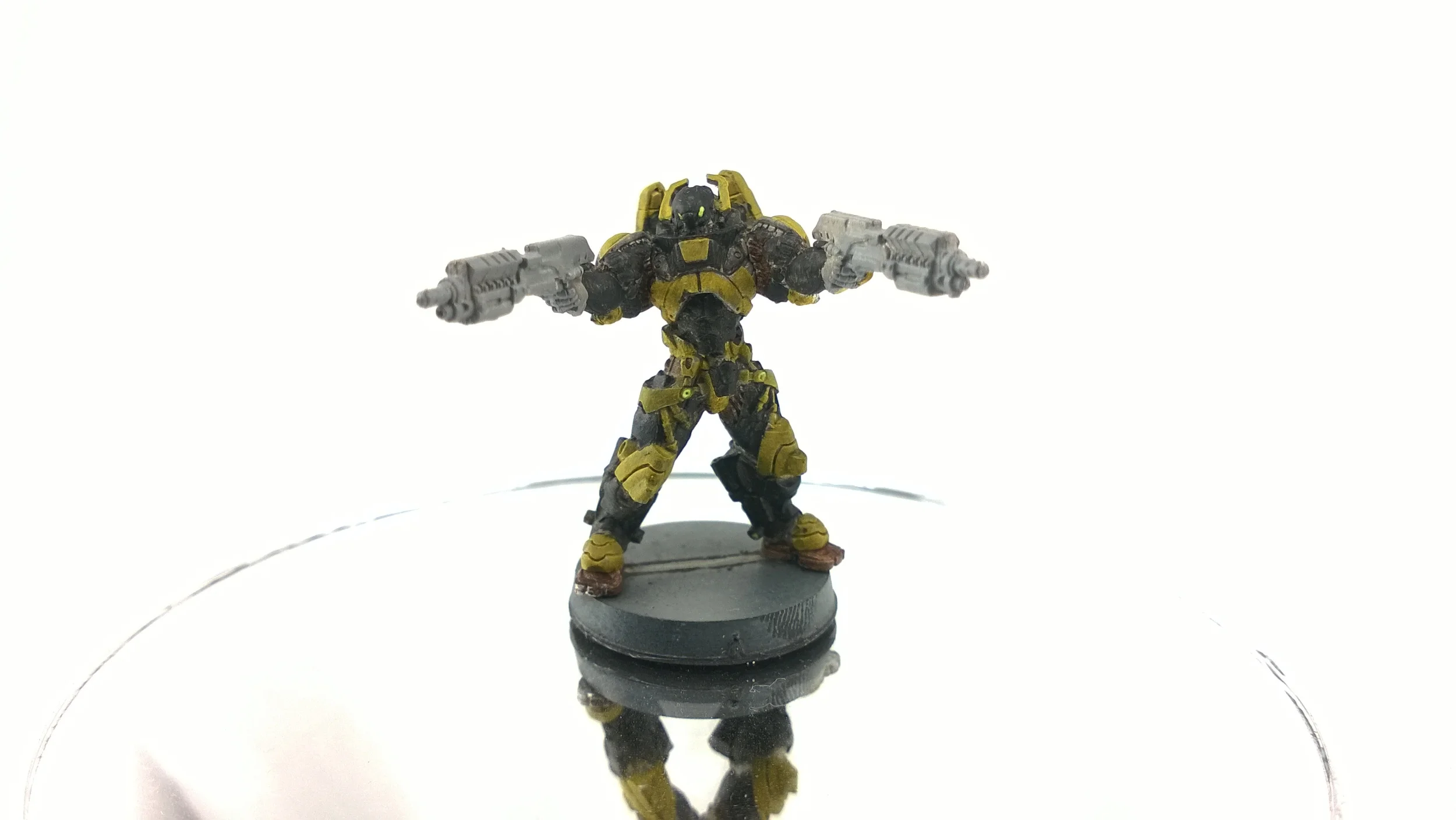 Rodok, Armed Imposition Detachment