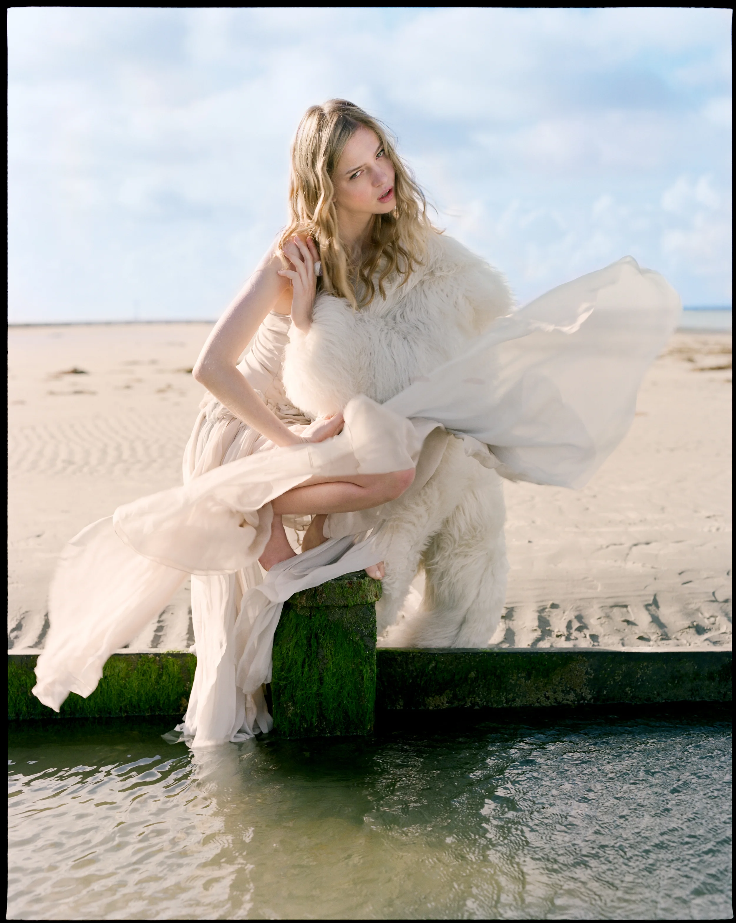 E6_53 winter chiffon.jpg