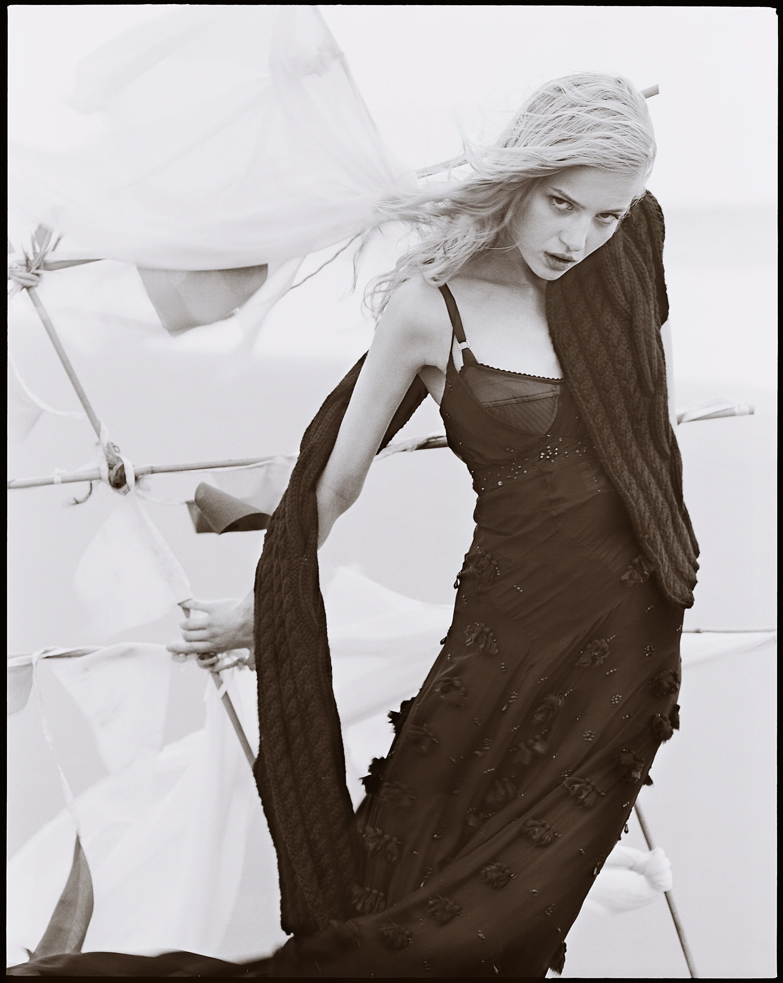 6560_49 winter chiffon.jpg