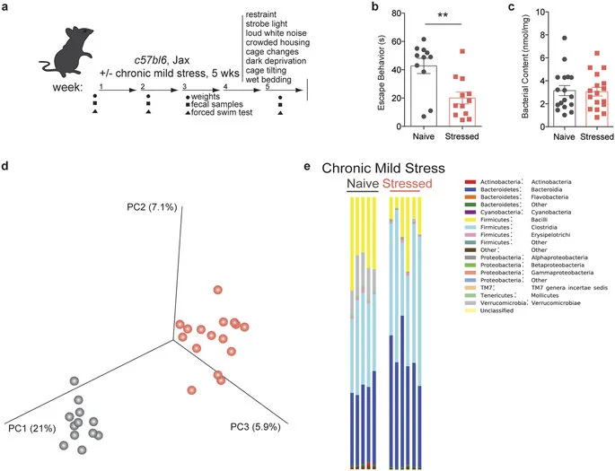 Ioana and Jennifer paper on depression and microbiome is now online