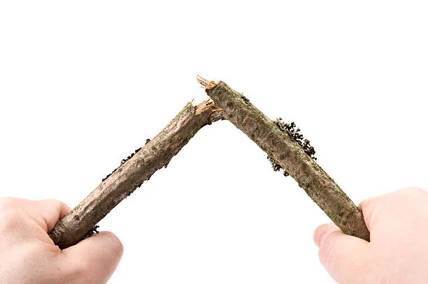 breaking branch.jpg
