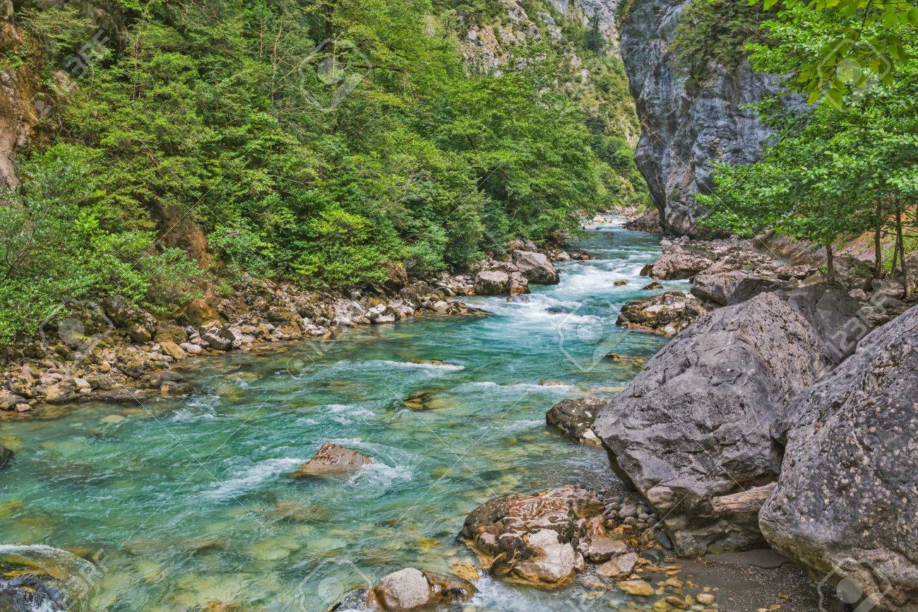 45792324-mountain-river-flowing-by-the-gorge-with-rocks-and-trees.jpg
