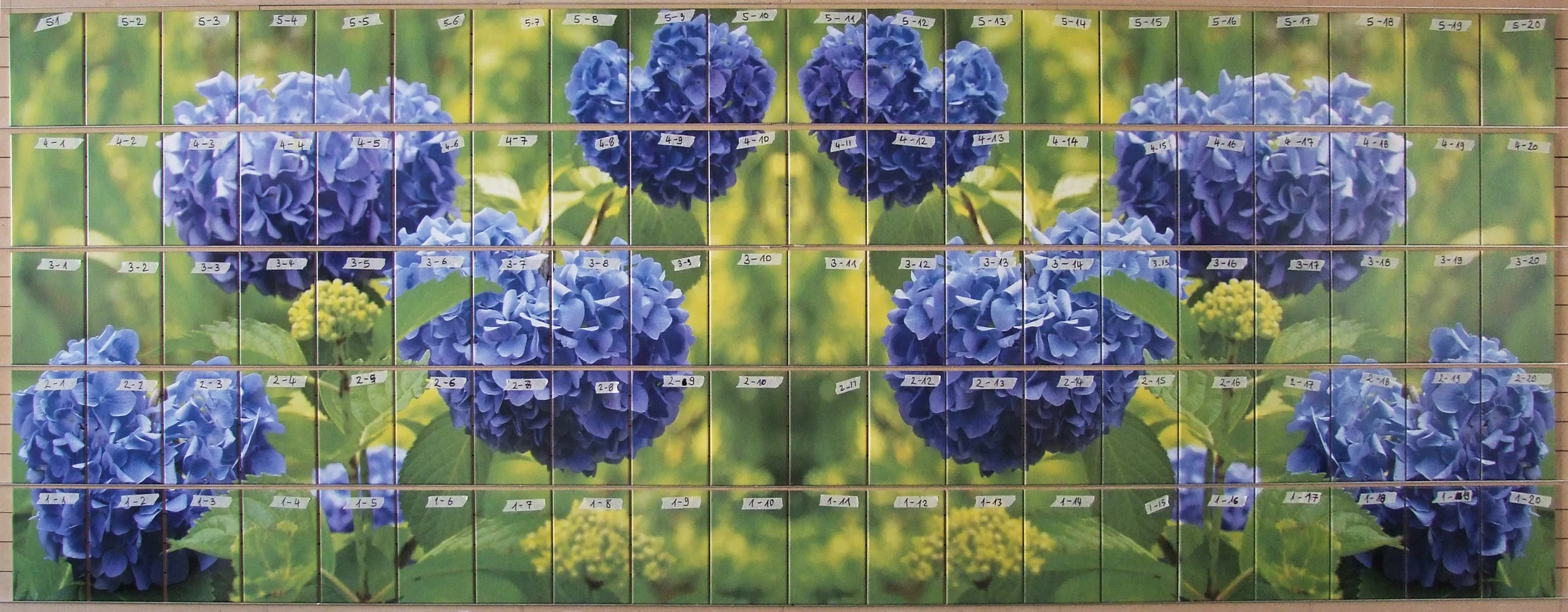 ppnummerenHortensia tegeltableau.jpg