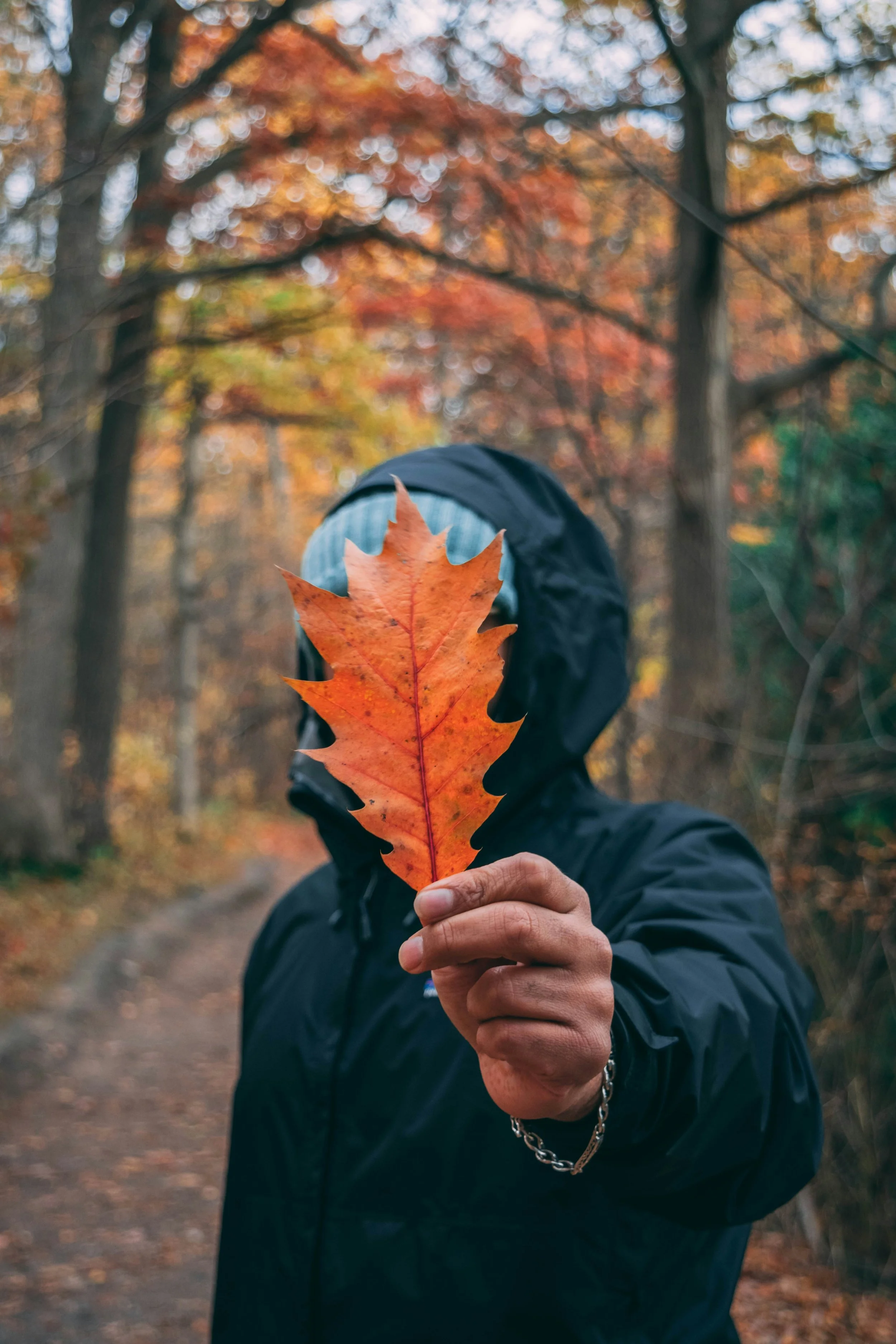 Still Rooted: Wintering With the Ancestors 