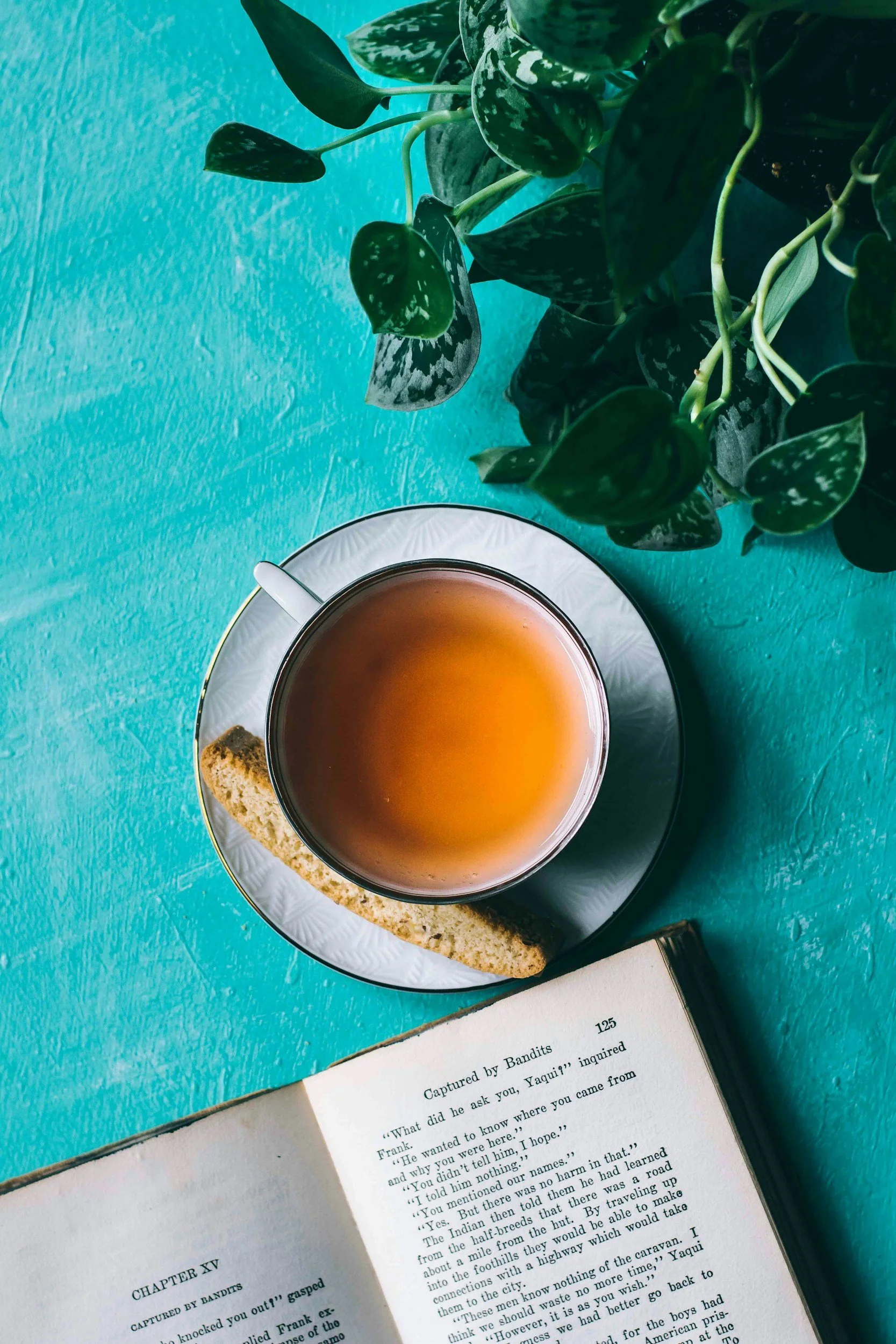 A cup of tea placed on a saucer with a biscotti on the saucer, next to an open book on a teal surface, with a green leafy houseplant in the background.