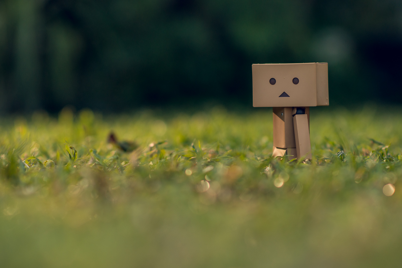 You can't go to Japan and NOT buy a Danbo...