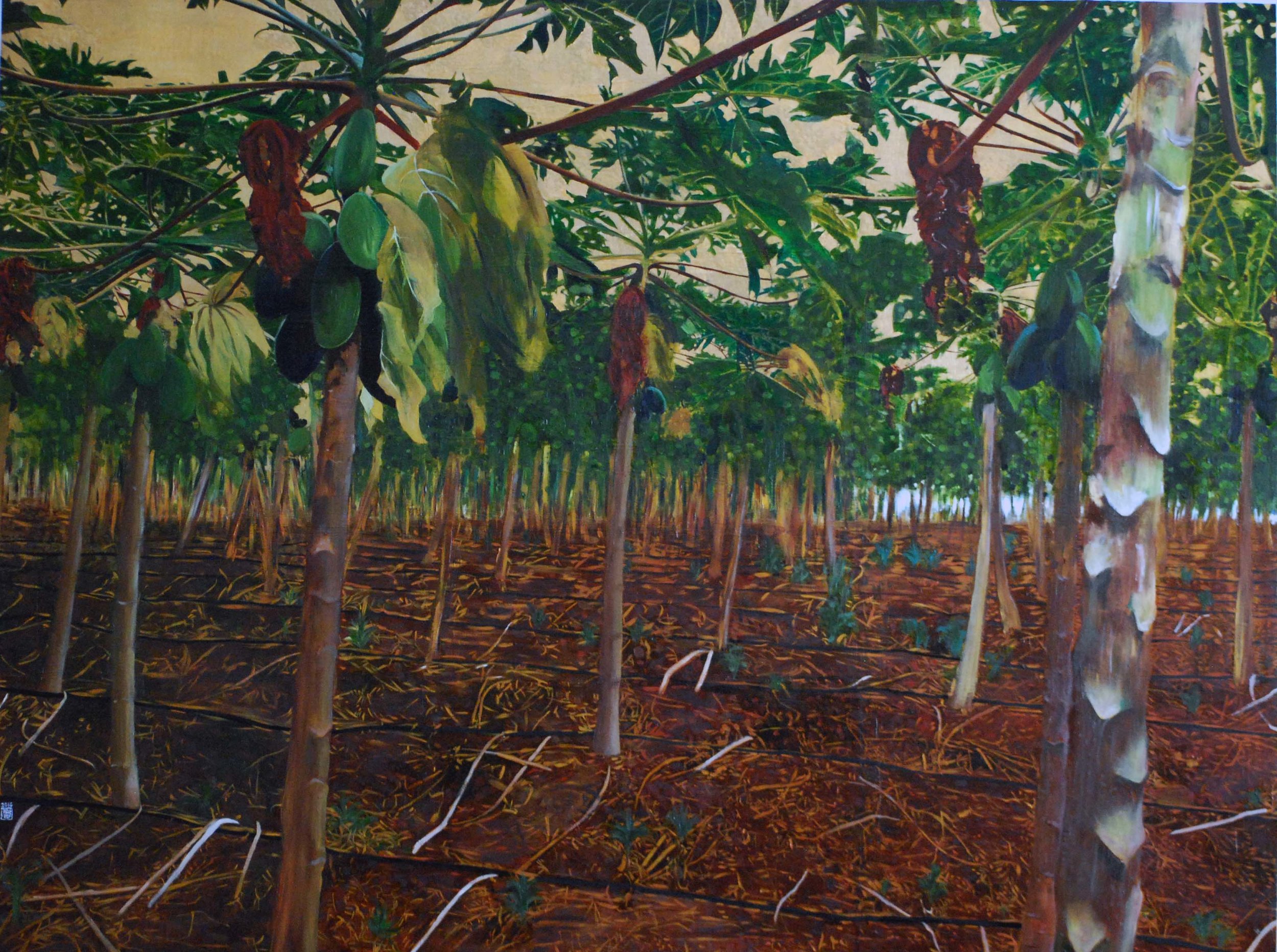 Papaya Grove, 2016, Oil and patina on gold-leafed panel, 36” x 48”