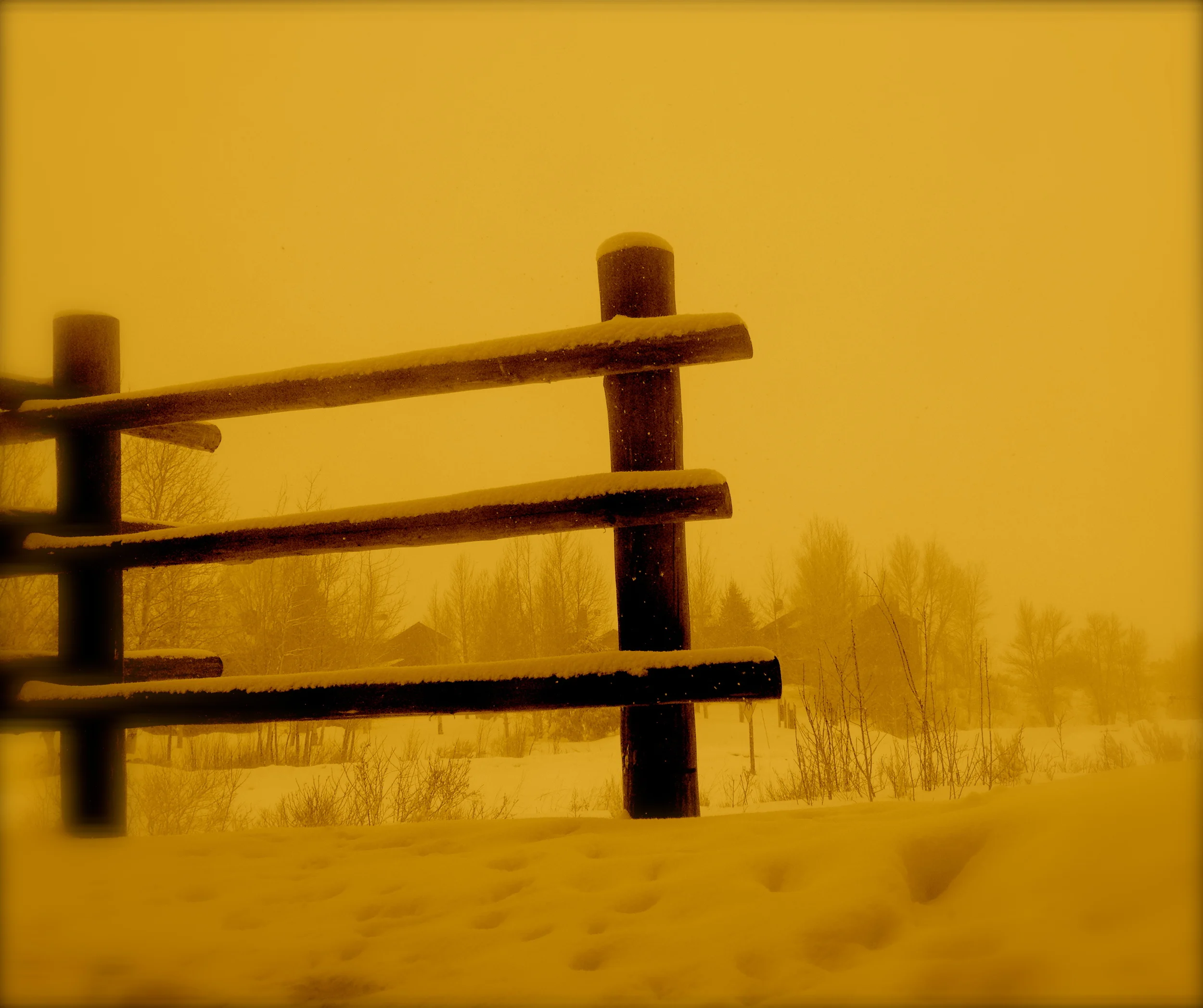 Jackson, WY