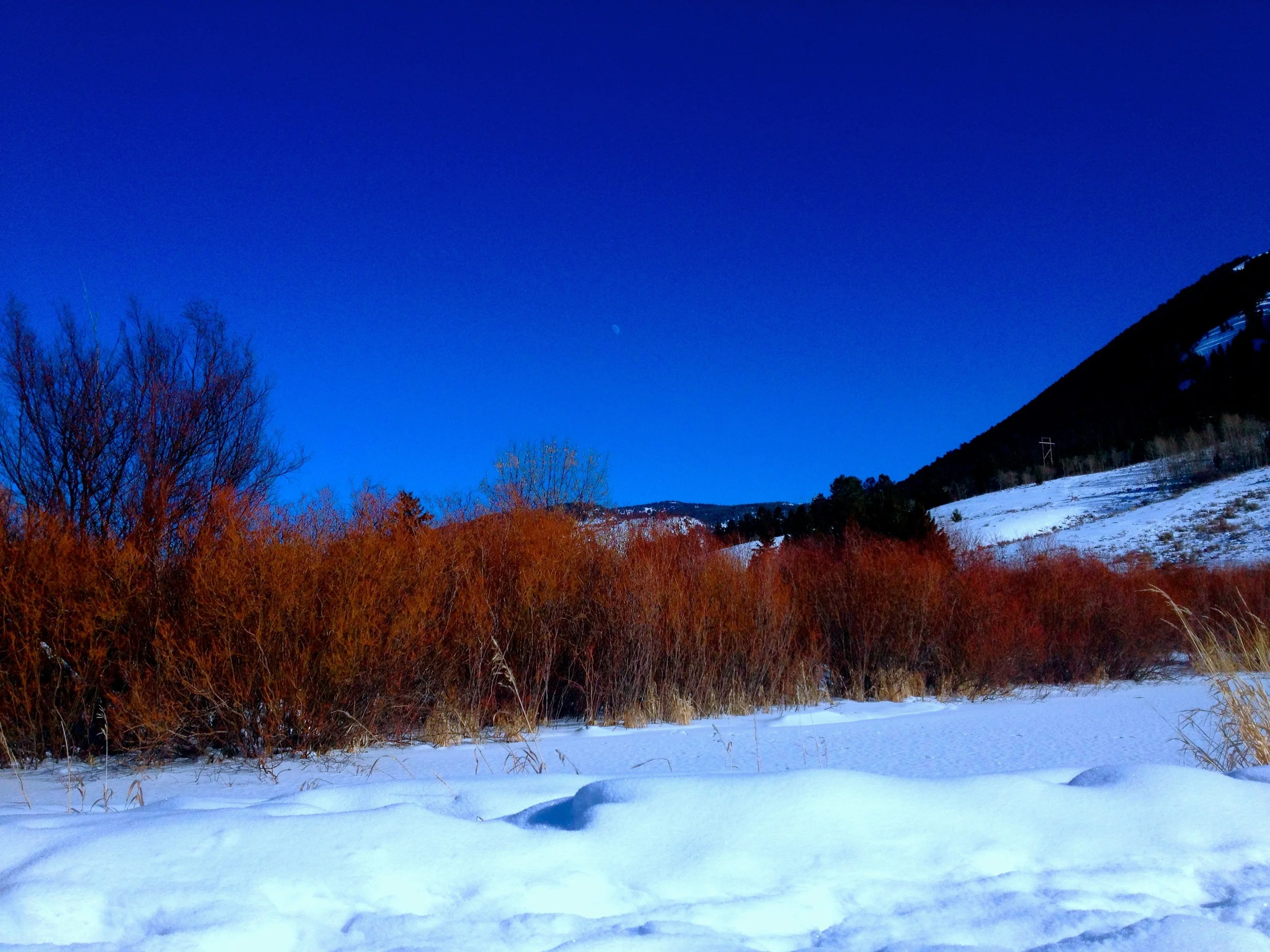 Garamond Trail, Jackson, WY