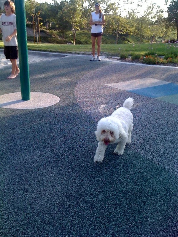 Park fun