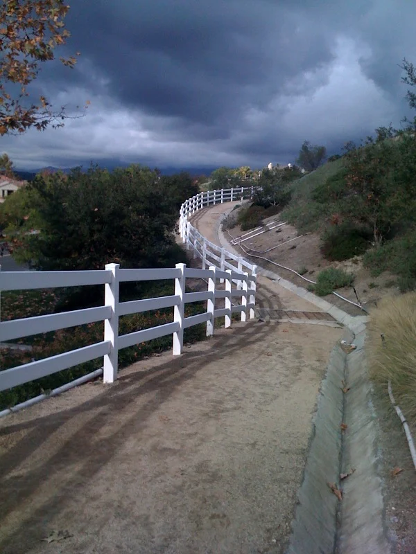 Horse trails are like Disneyland to a dog