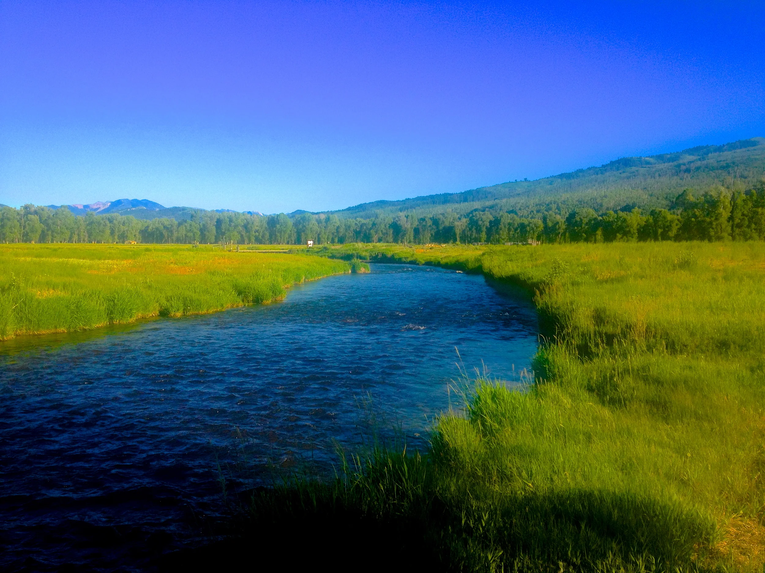 South Flat Creek, Jackson, WY