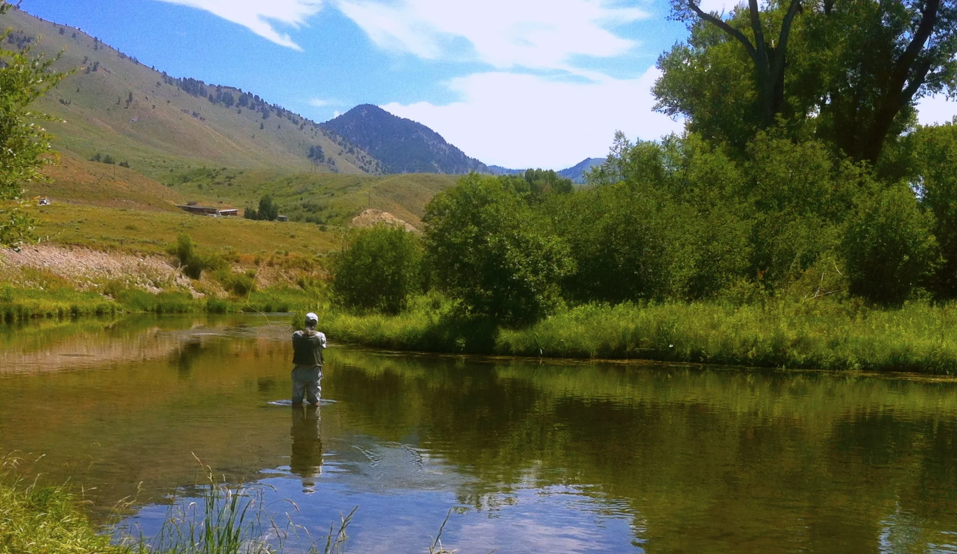 South Flat Creek, Jackson, WY
