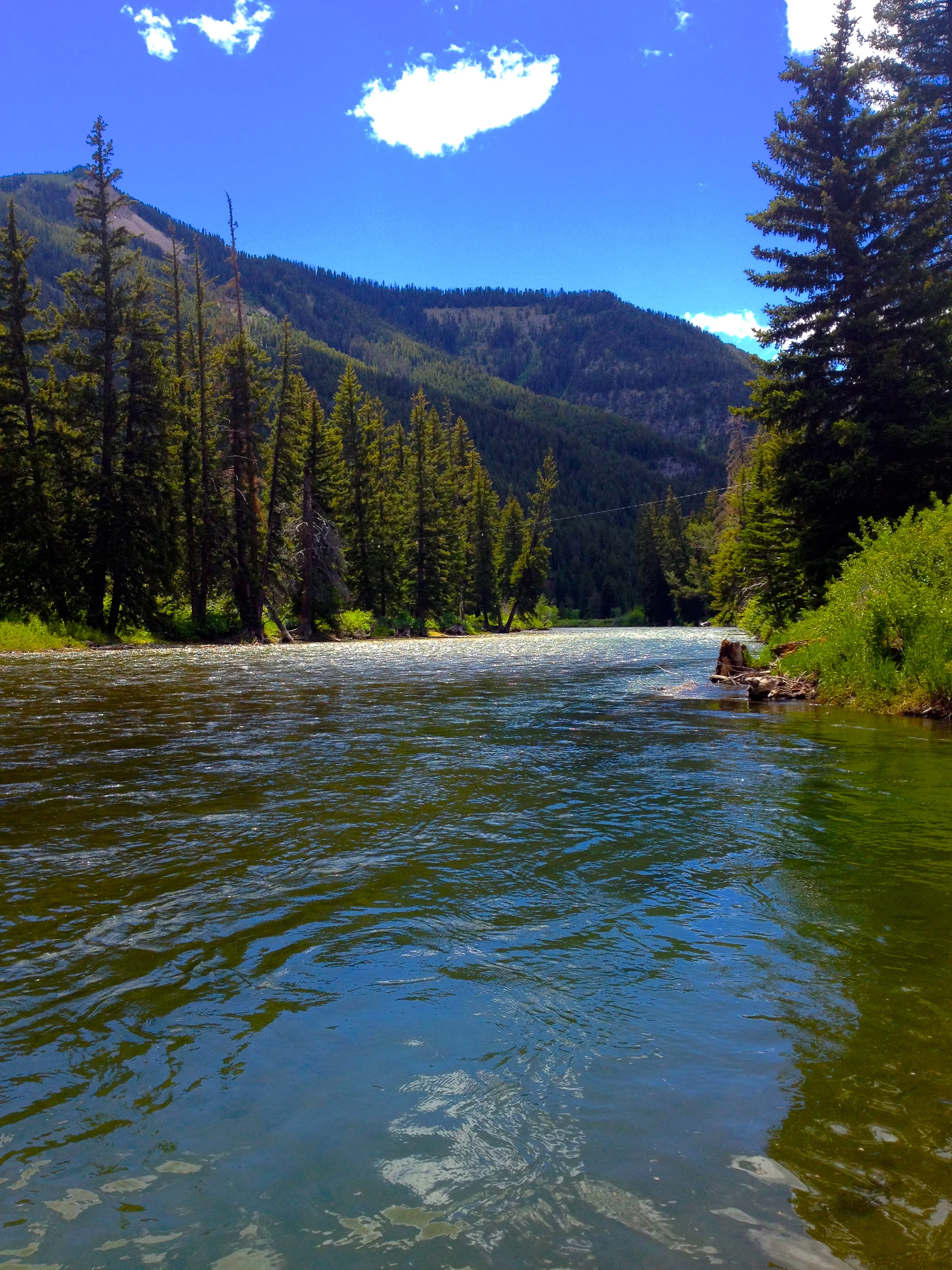 Hoback River, Jackson, WY
