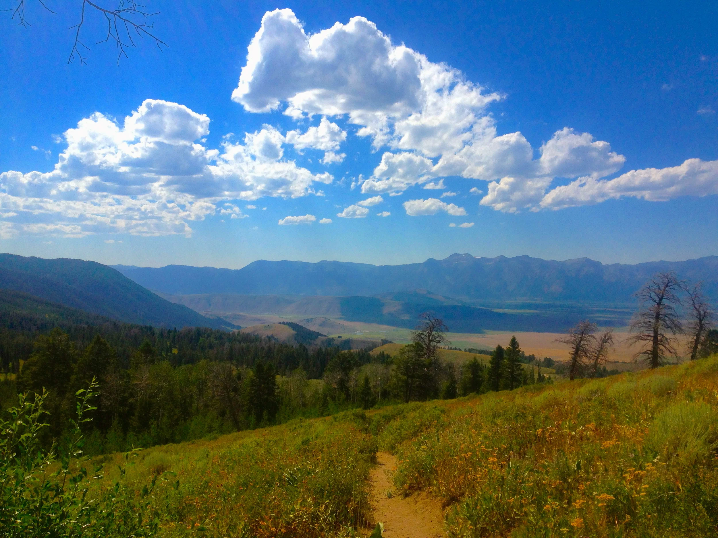 Lake Goodwin Trail, Gros Ventres Wilderness, Bridger Teton National Forest