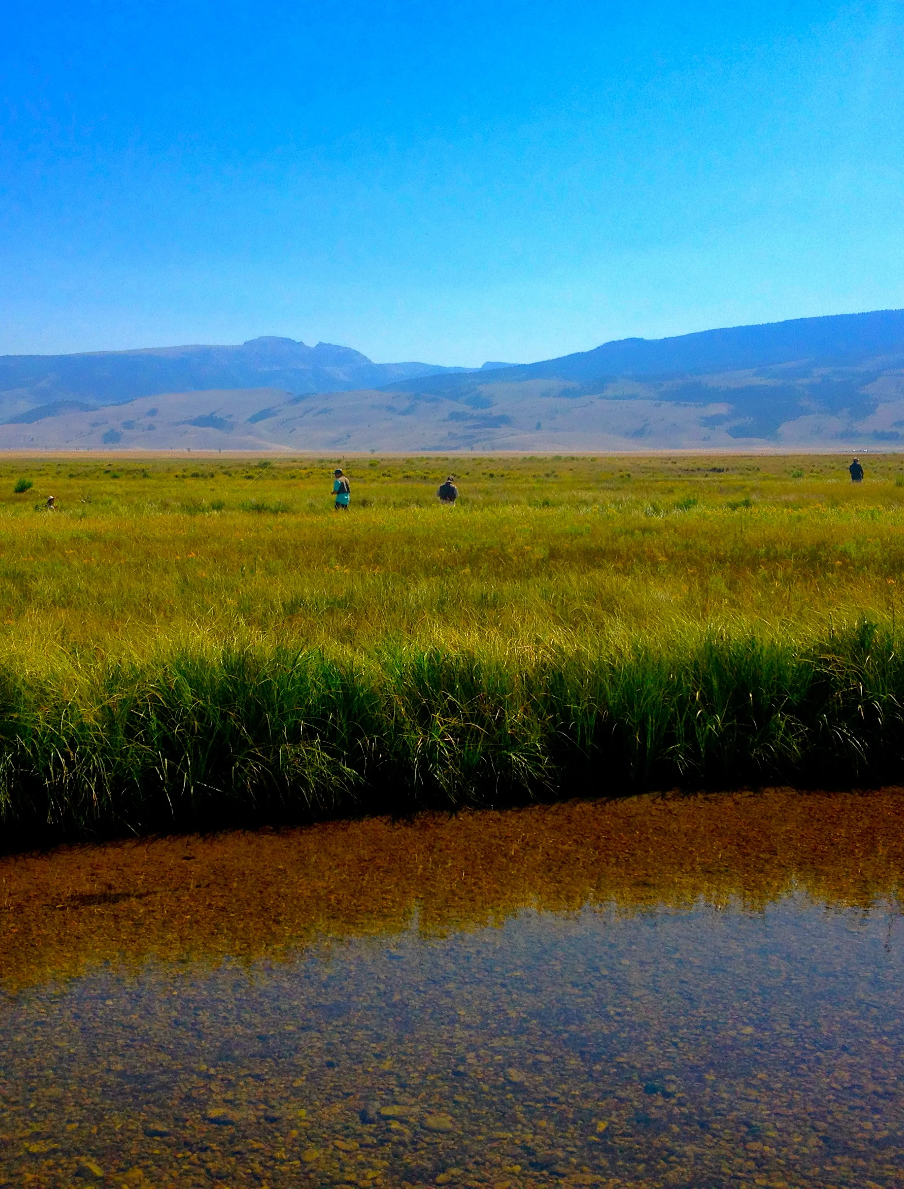 Flat Creek, National Elk Reserve, Jackson, WY