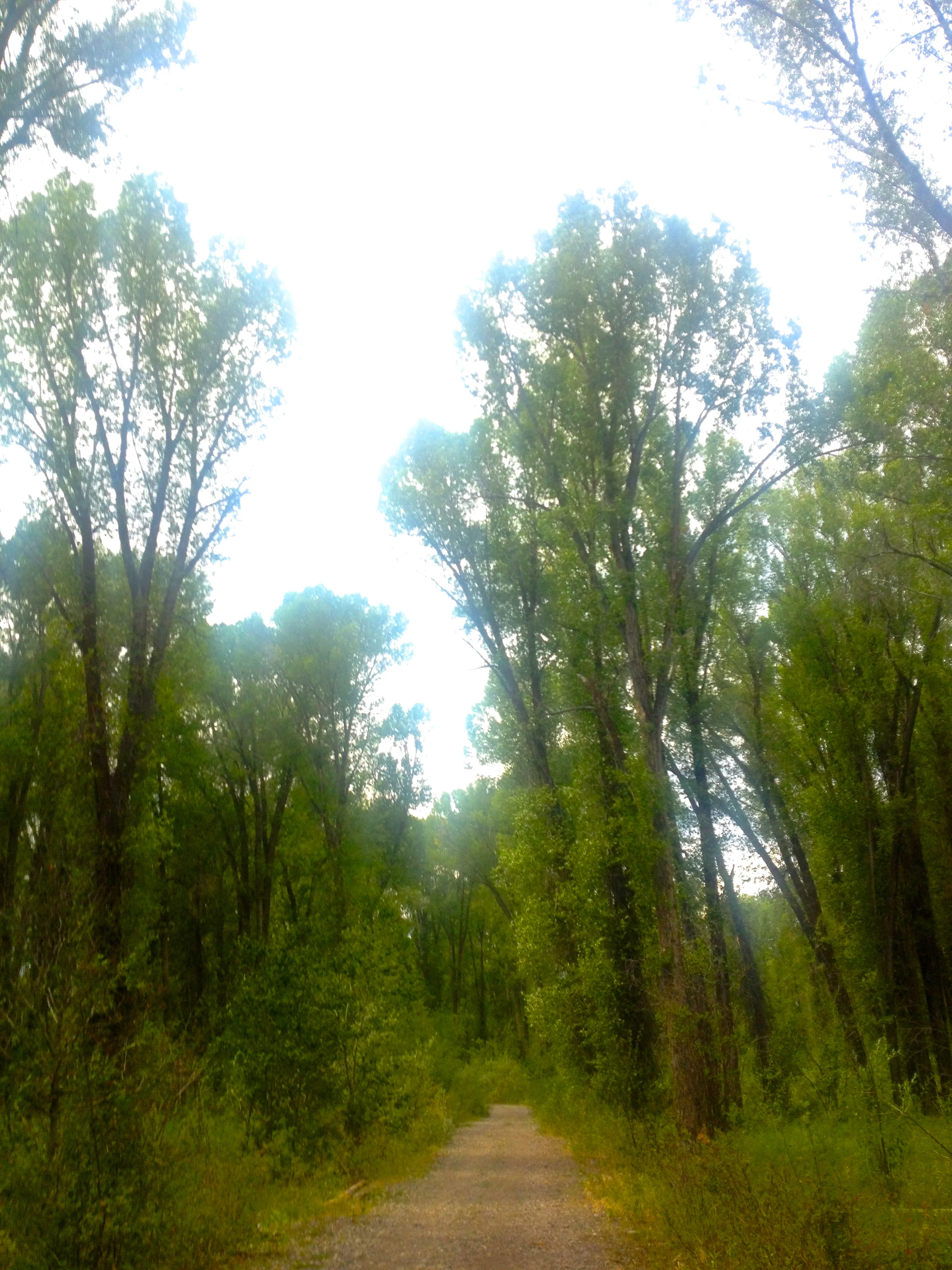 South Park Levee Trail, Jackson, WY