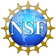 T3S Awarded NSF Phase I Grant