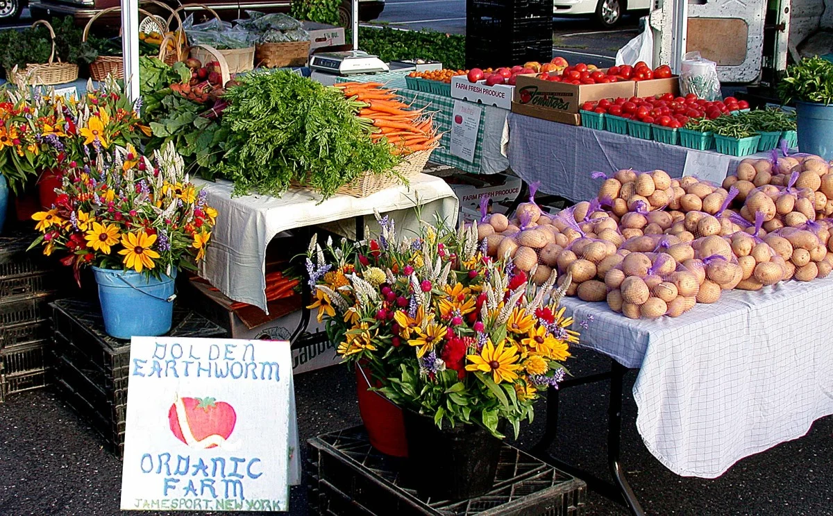 golden earthworm_1.jpeg