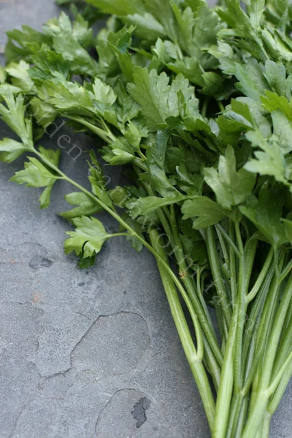 parsley.jpg