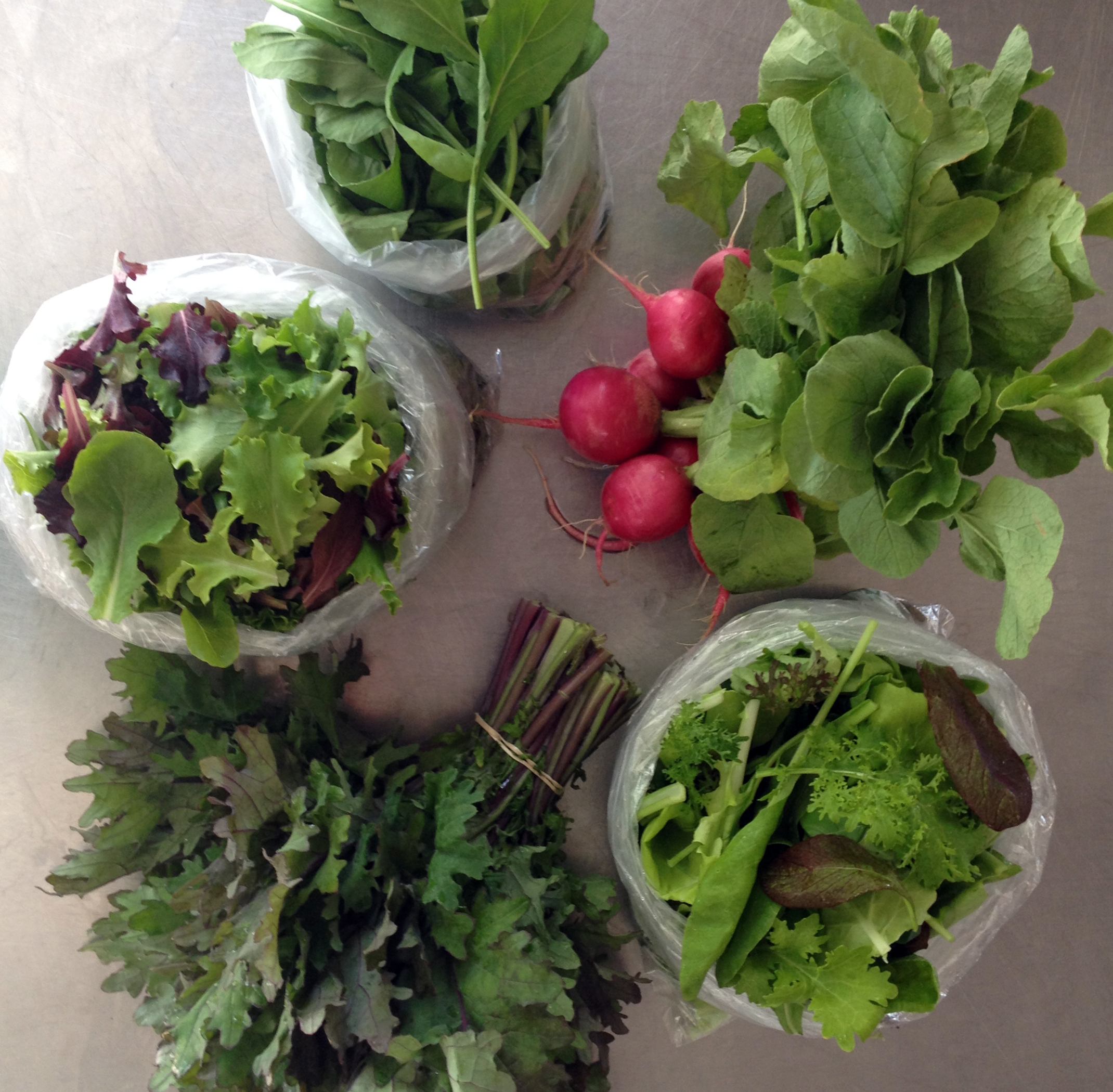 Clockwise from top: Arugula, Radishes, Mustard Mix, Red Kale, Lettuce Mix