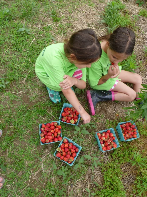 P1010022.jpg