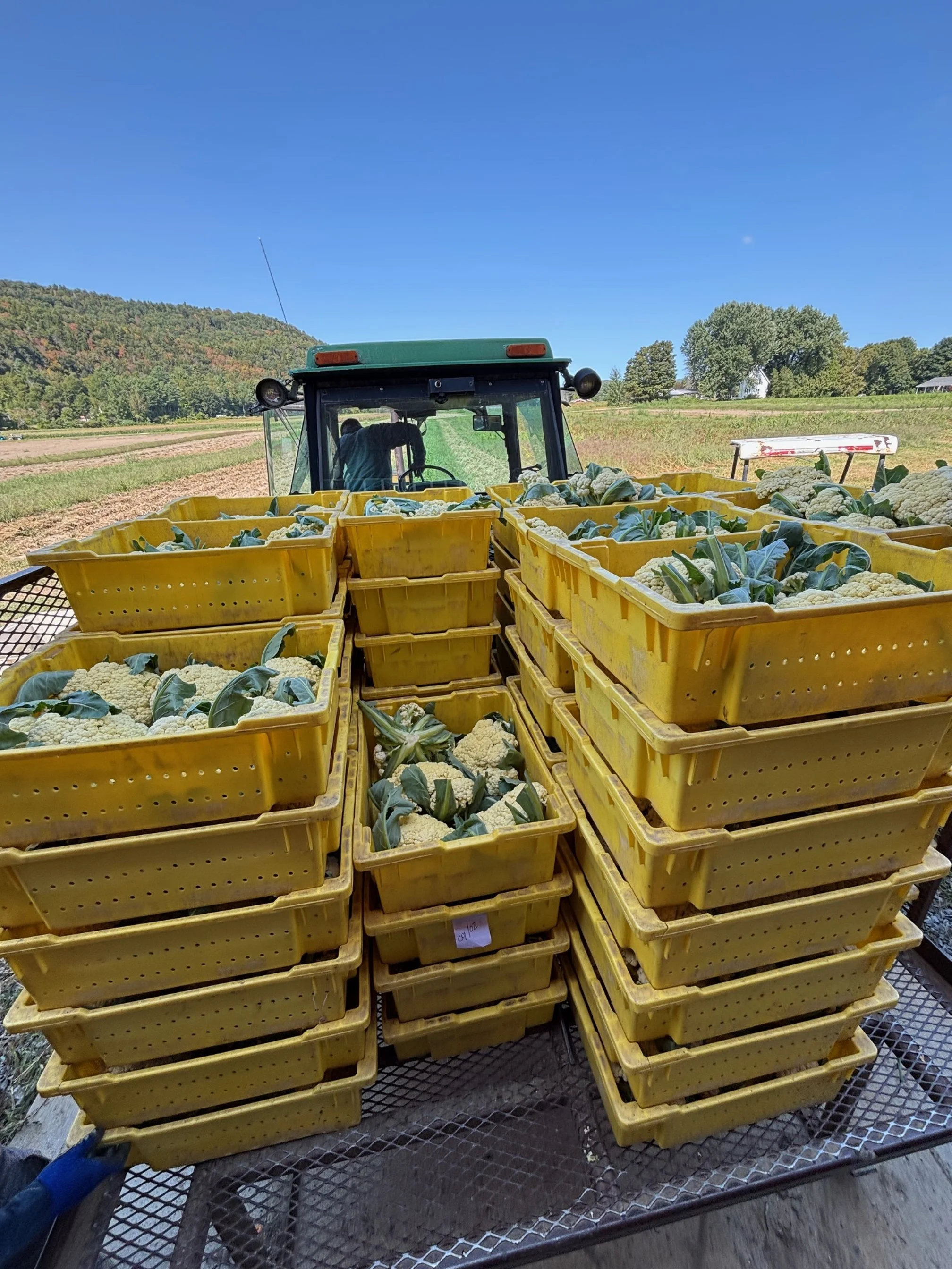 CSA 2025 - Week #13 (A)