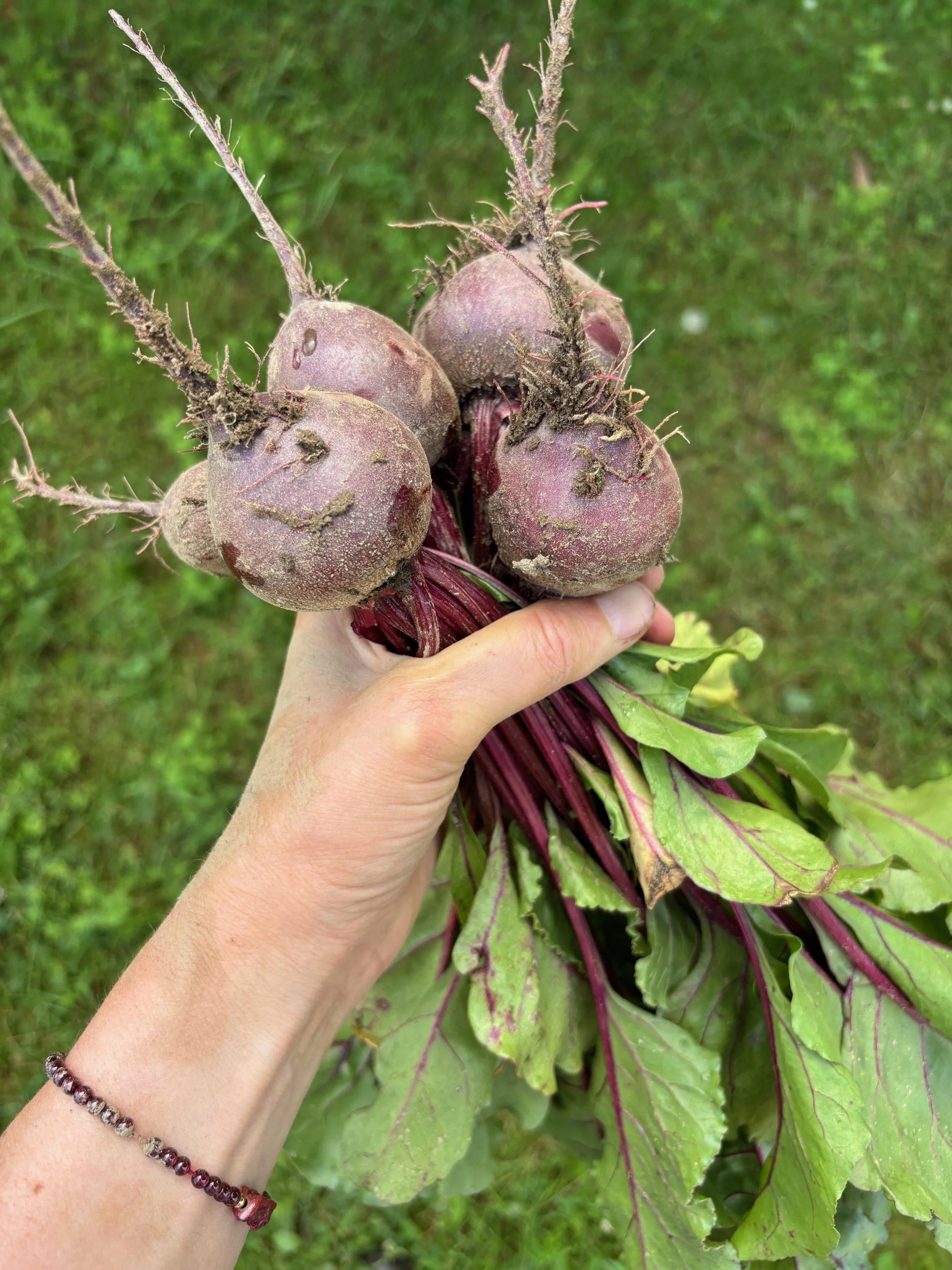 CSA 2025 - Week #14 (B)