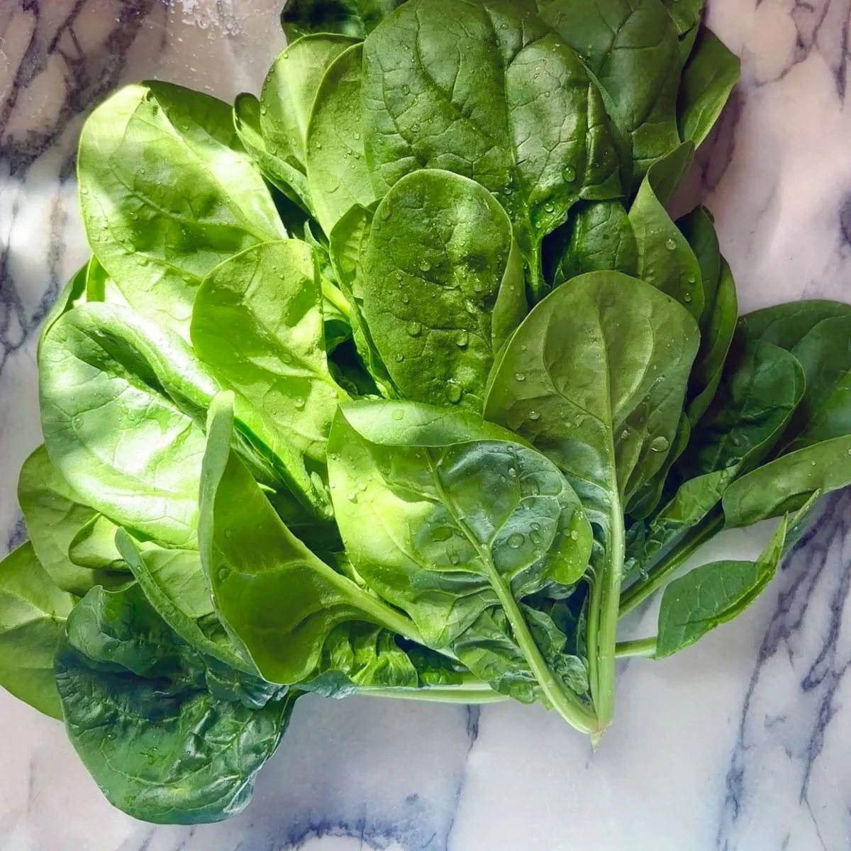 CSA 2026 - Week #1 (A)
