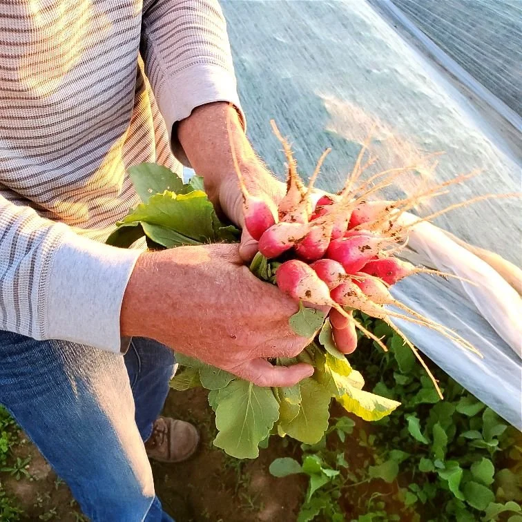 CSA 2026 - Week #2 (B)