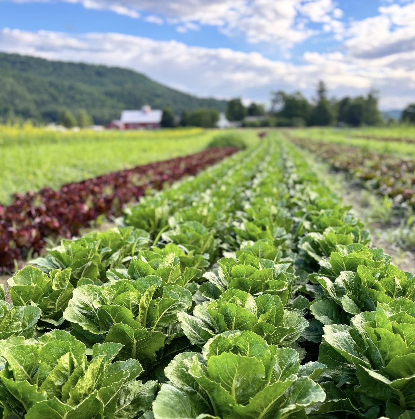 CSA 2026 - Week #3 (A)