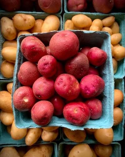 CSA 2026 - Week #10 (B)