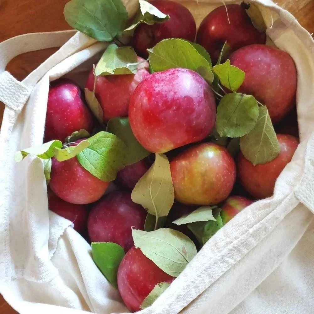 20220926_081942.jpeg (Copy)