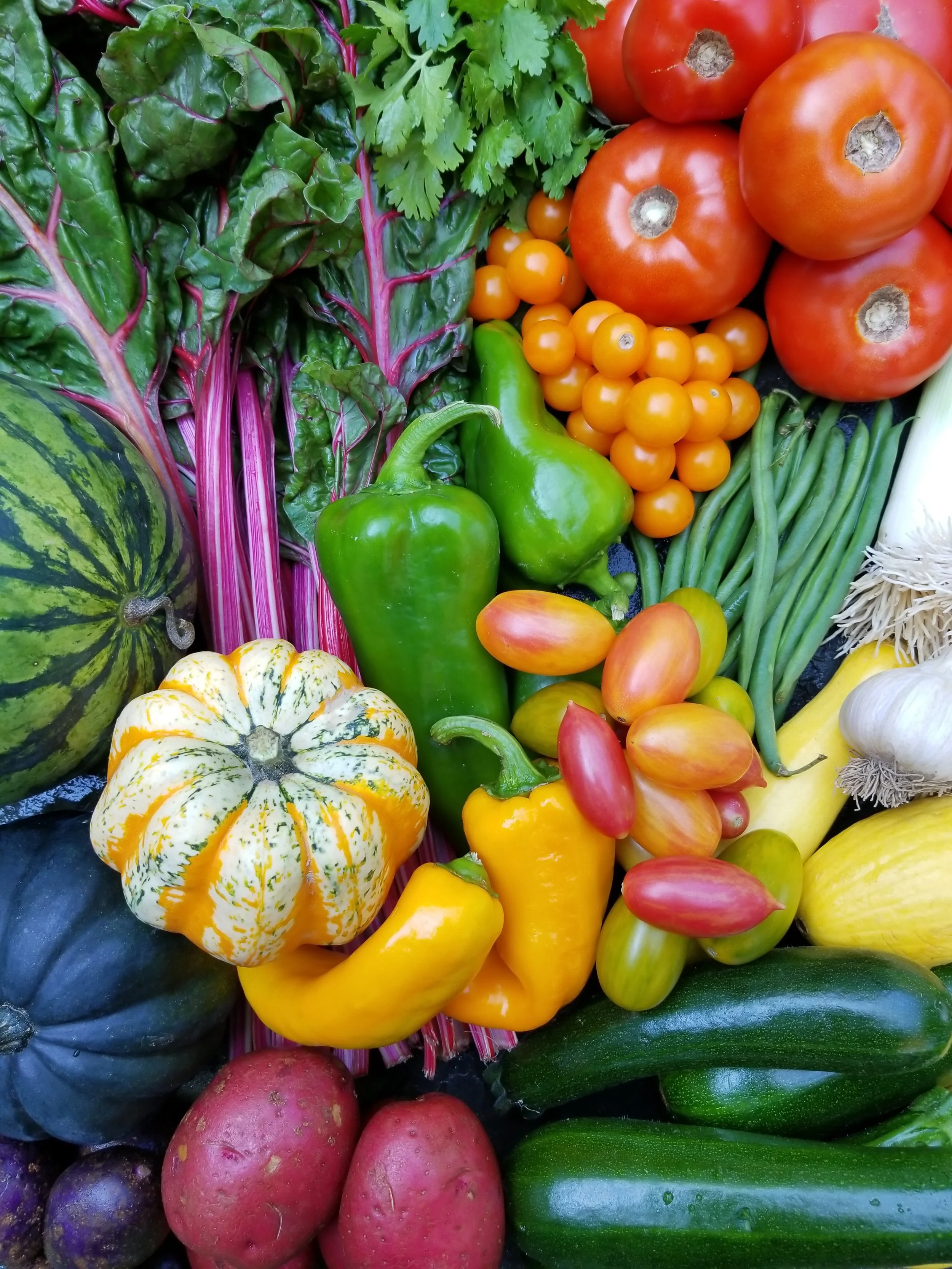 Weekly Veg Box // 6 Installment Payments