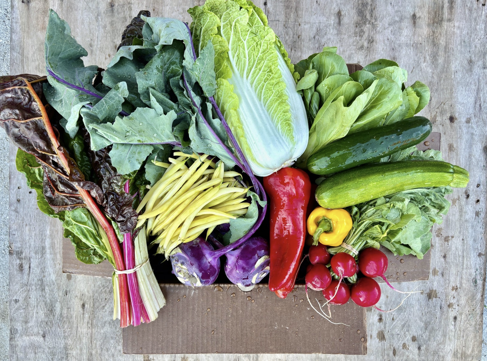 Screenshot 2025-12-28 at 4.40.56 PM.png (Copy)