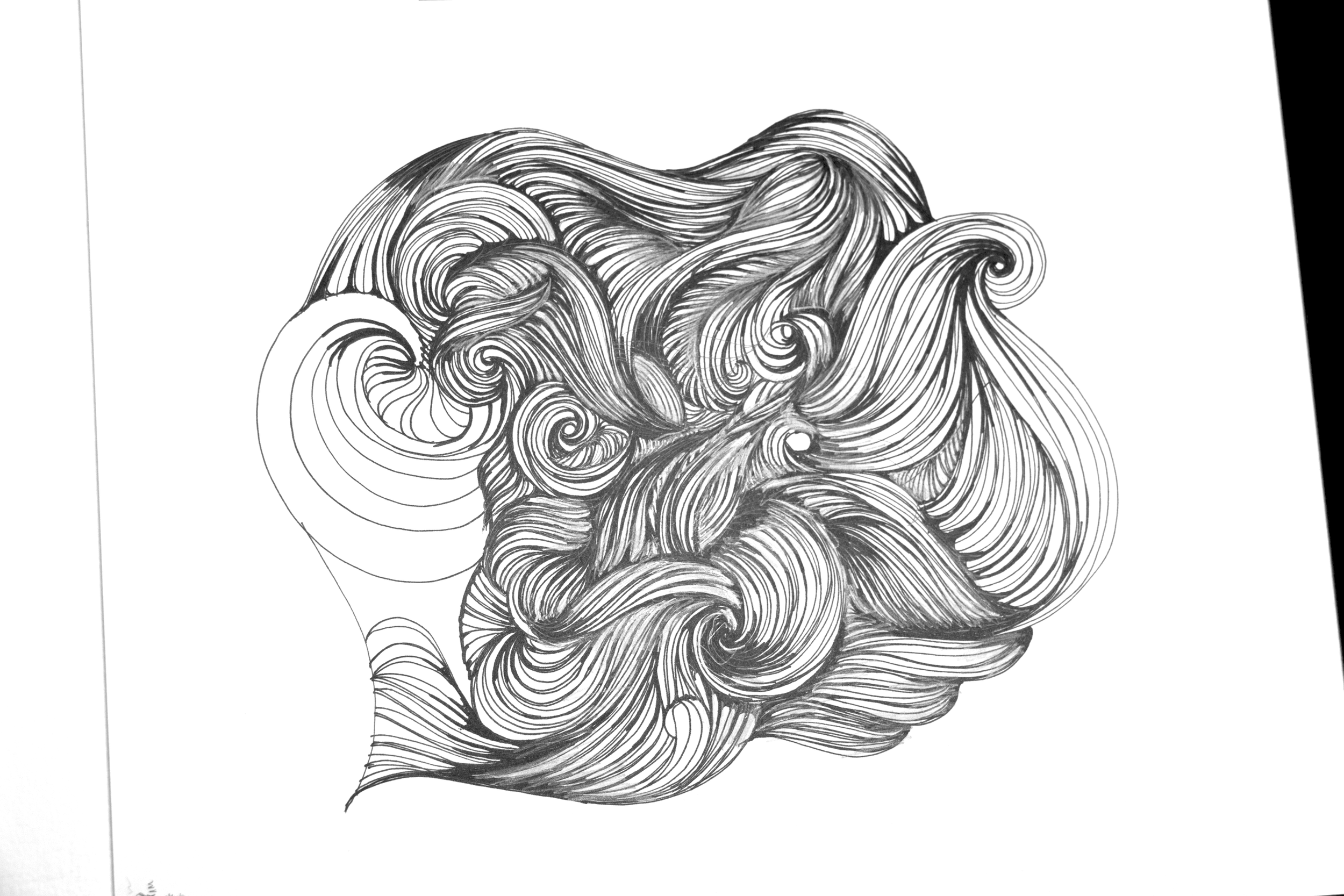 IMG_1329.png