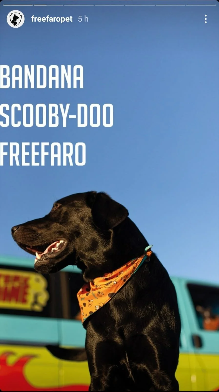 WhatsApp Image 2021-11-22 at 12.05.57.jpeg