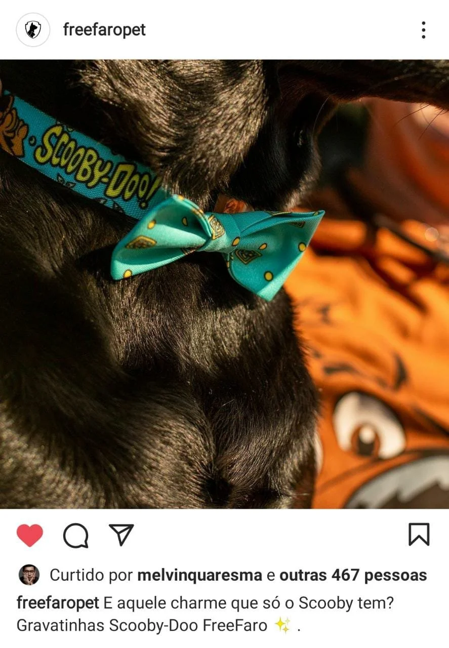 WhatsApp Image 2021-11-22 at 12.03.35.jpeg