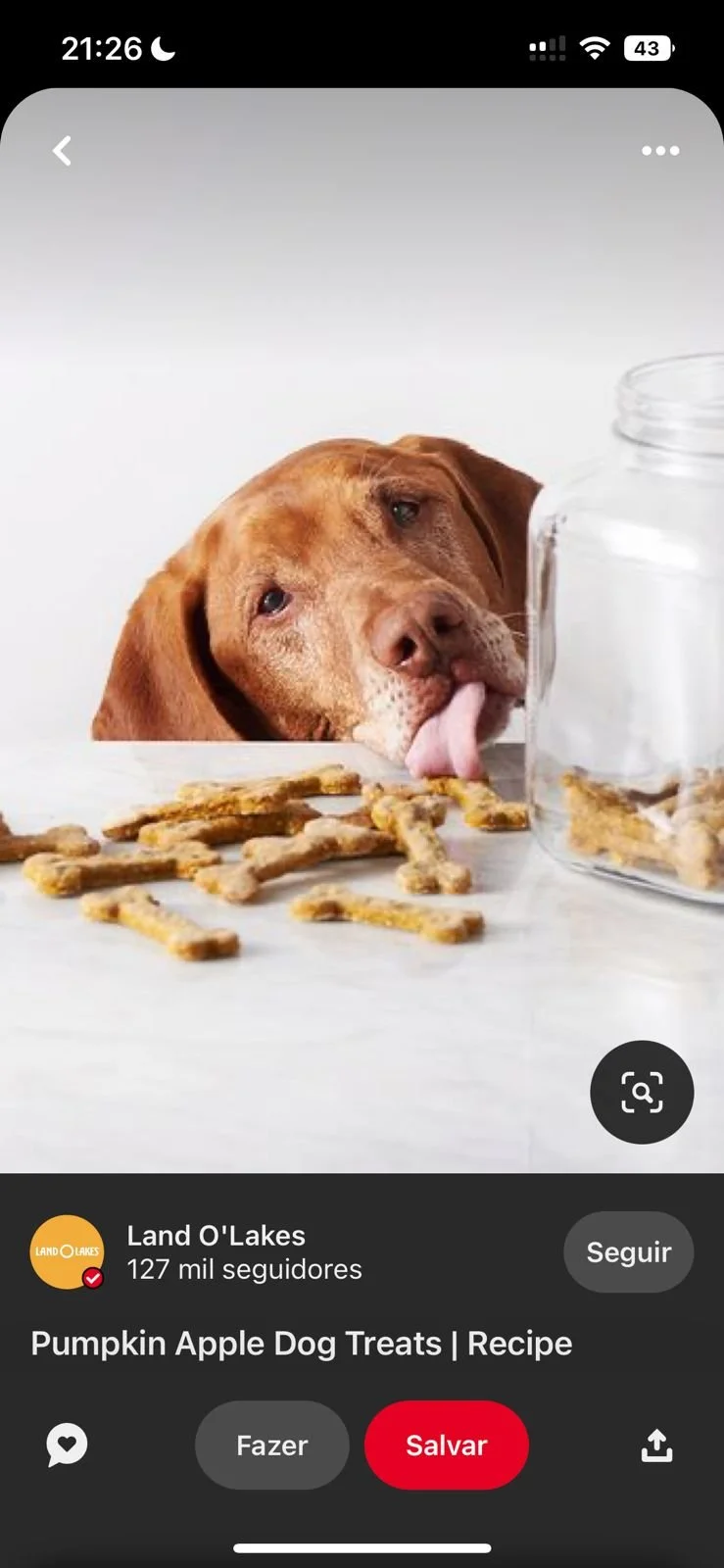 WhatsApp Image 2023-07-11 at 14.39.10.jpeg