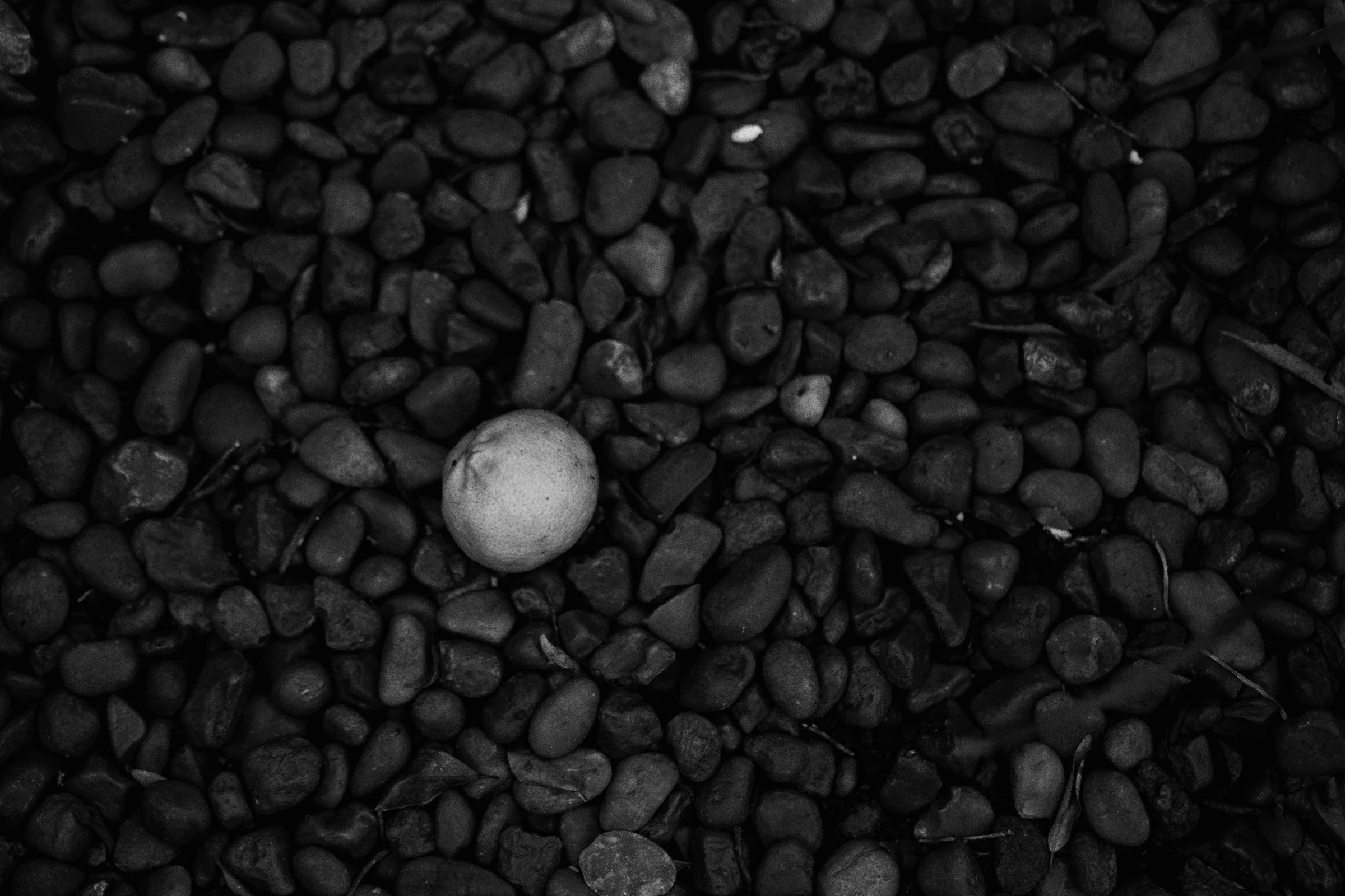 PMQA0898-Editar.jpg
