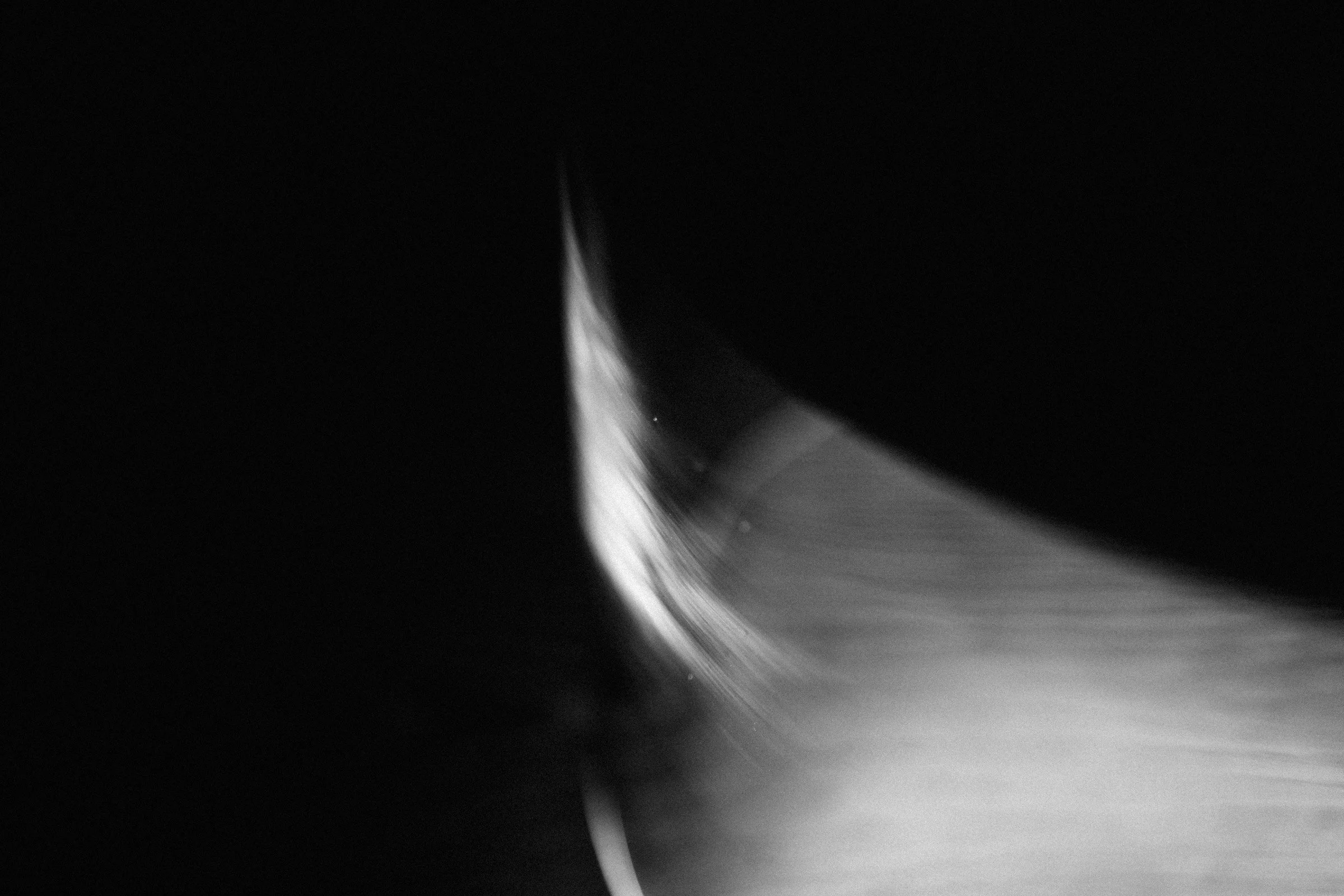 PMQA9897.jpg